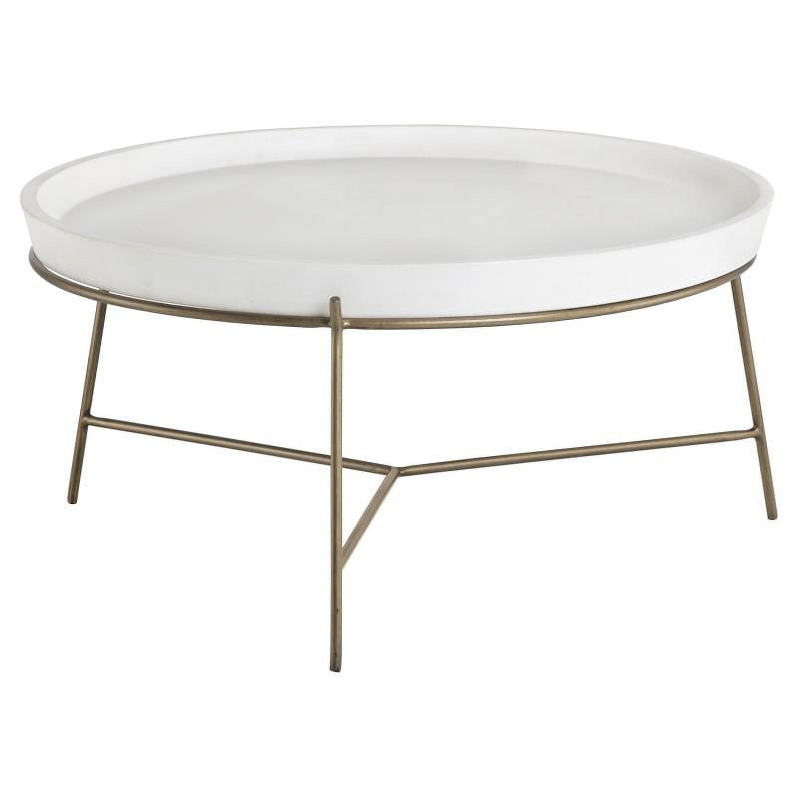 Sunpan Remy 31.5" Modern Metal Coffee Table with Tray-like Top in Brass/White