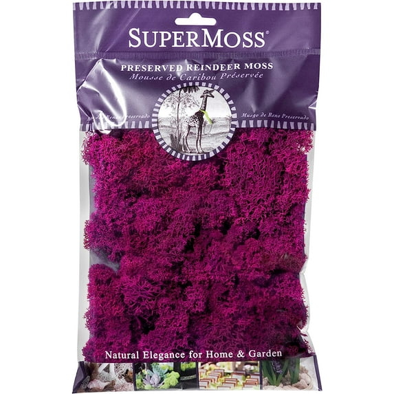Super Moss  23164 Reindeer Moss Fuchsia, 2oz