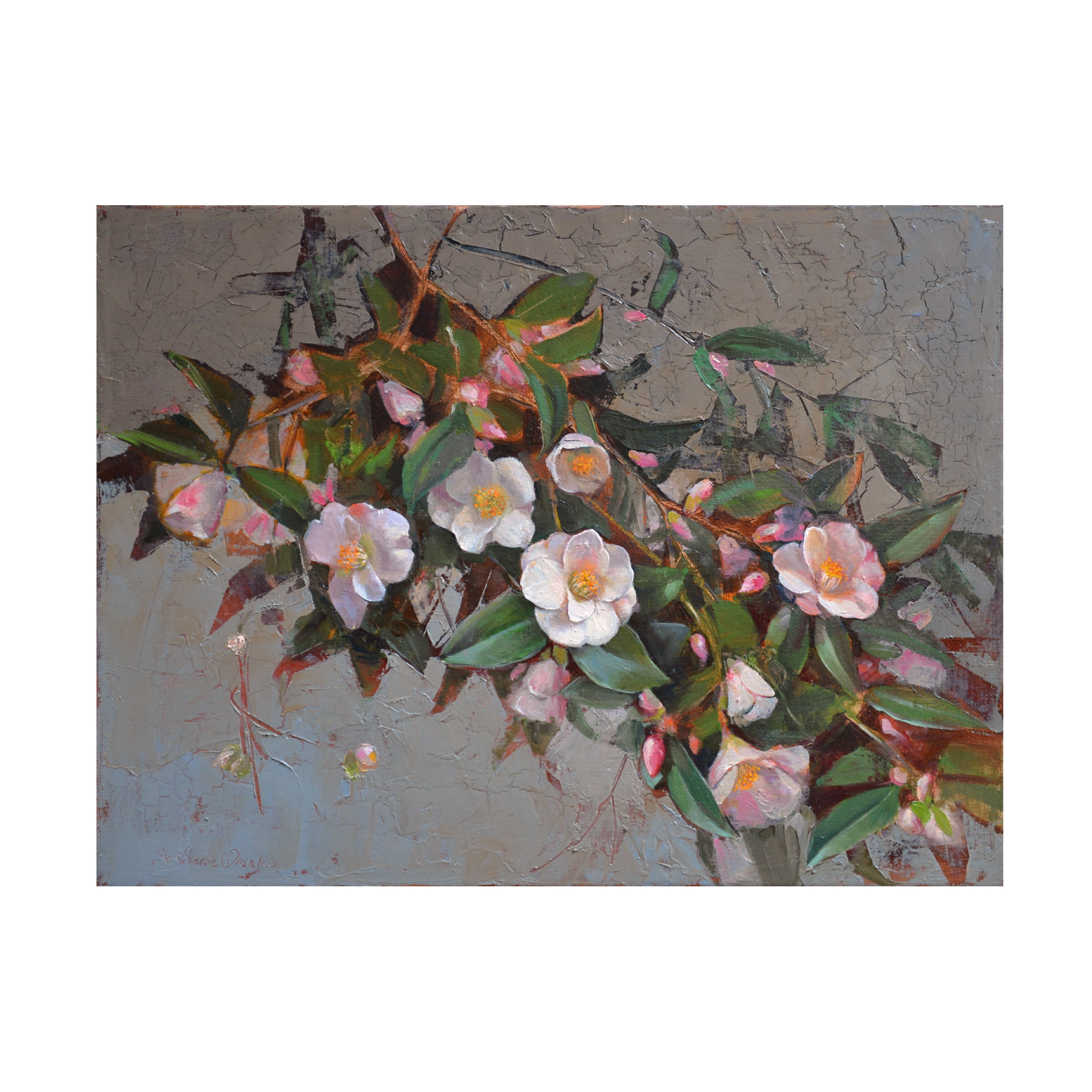 Svetlana Orinko 'Camellia Quintessence' Canvas Art