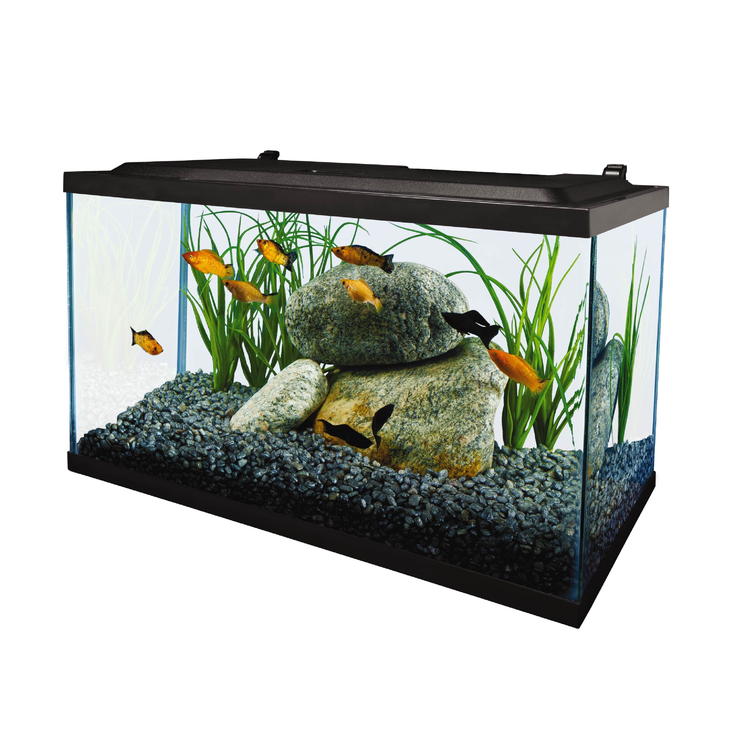 Tetra 10 Gallon Glass LED Aquarium Kit