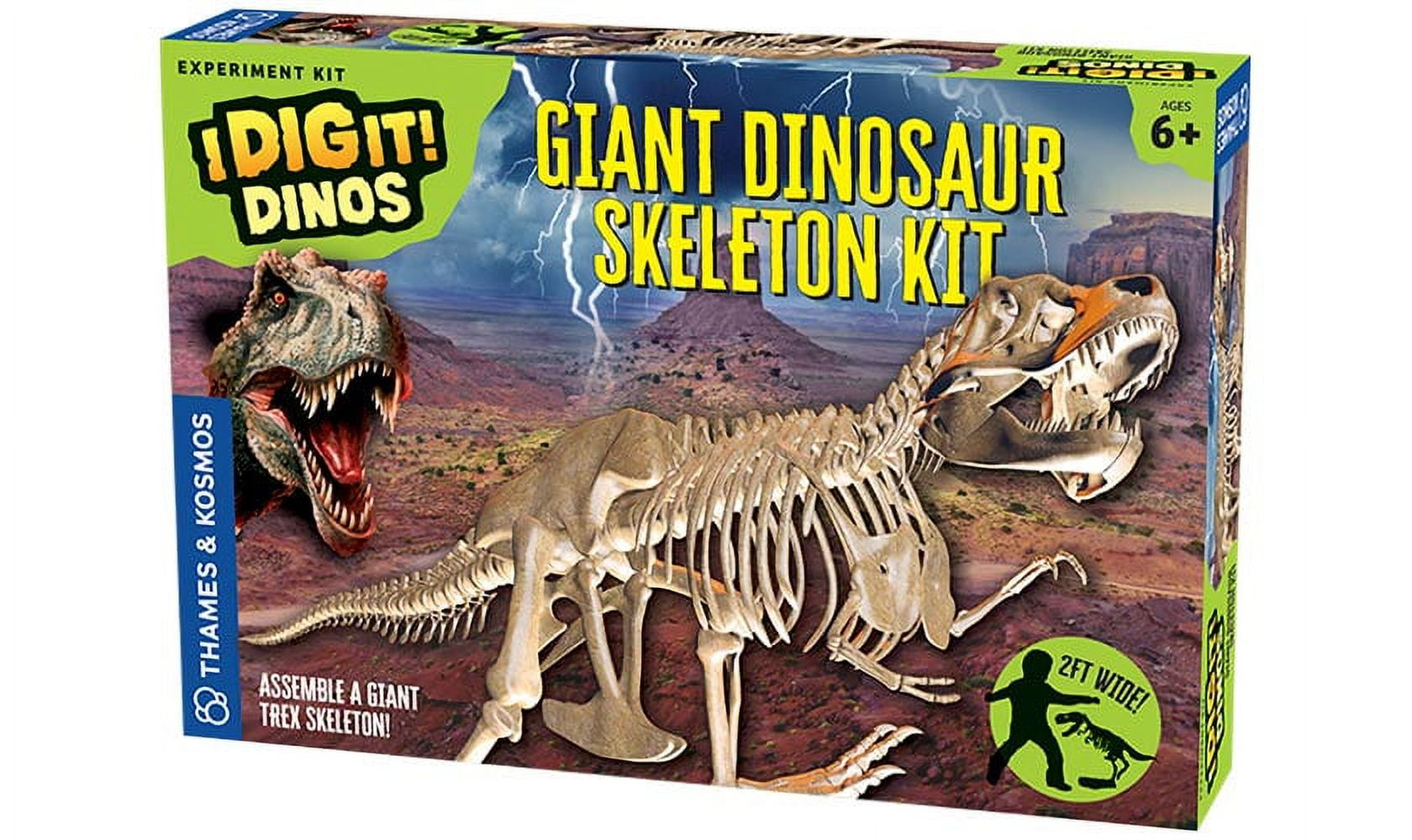 Thames & Kosmos Giant Dinosaur Skeleton Kit