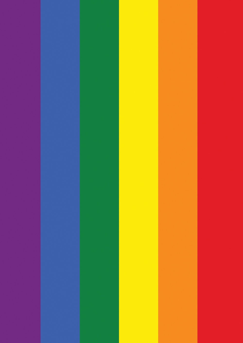 Toland Home Garden Rainbow Pride LGBTQIA+ Pride Flag Double Sided 12x18 Inch