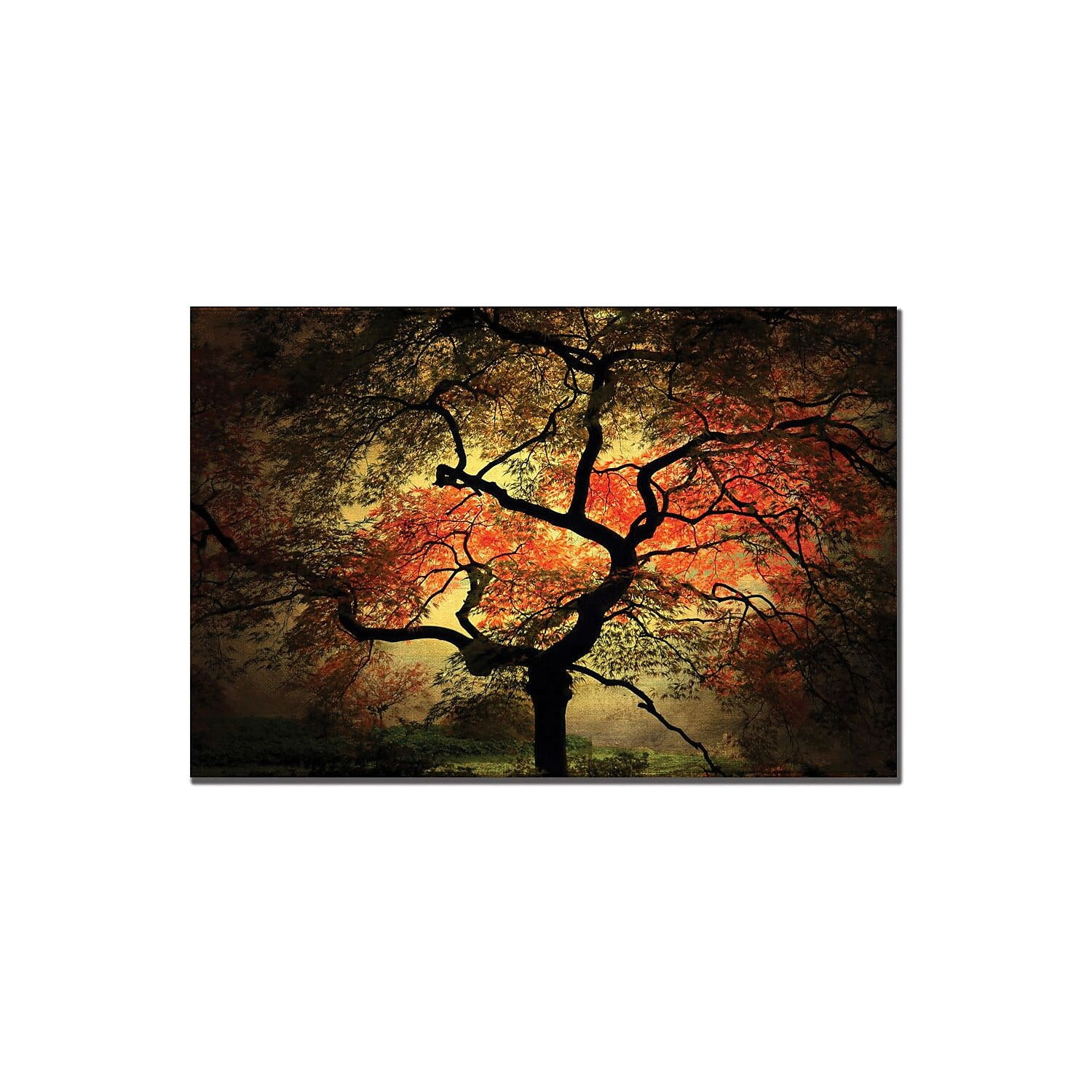 Trademark Art "Japanese I" Canvas Art by Philippe Sainte-Laudy