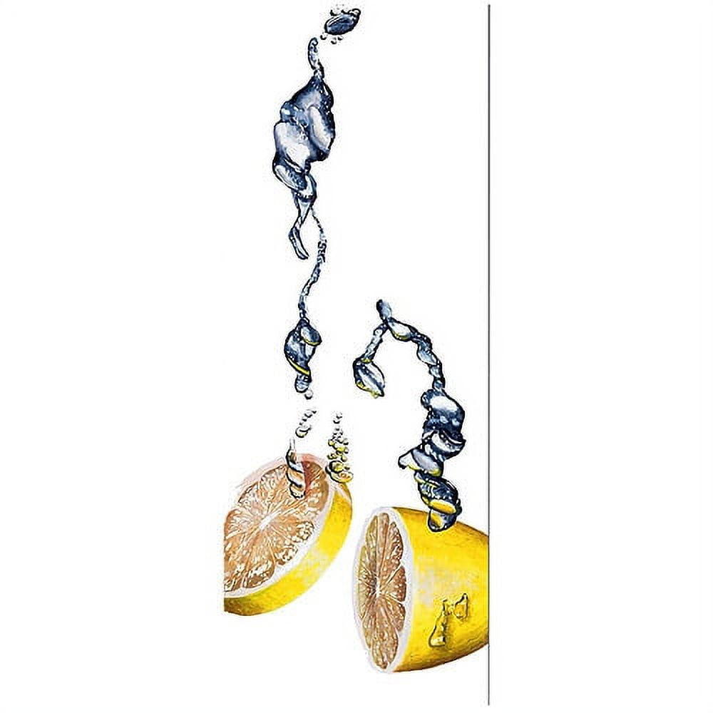 Trademark Art "Lemon Splash II" Canvas Art by Roderick Stevens, 12x32