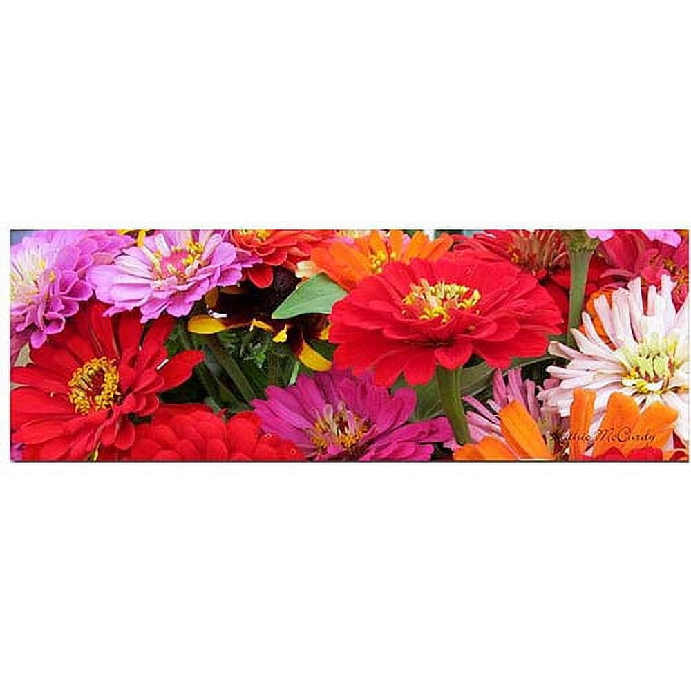 Trademark Art "Zinnia Frieze" Canvas Art by Kathie McCurdy