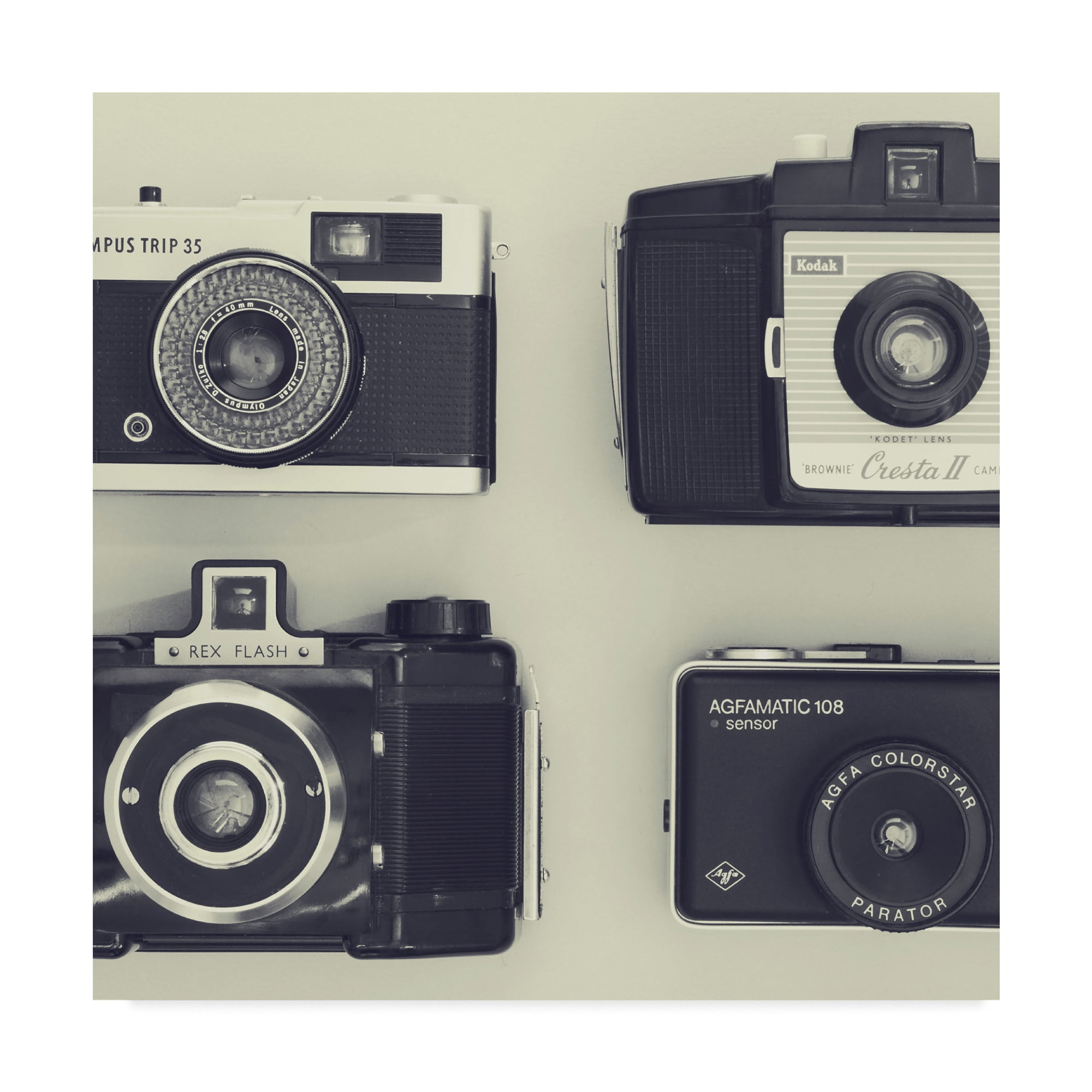 Trademark Fine Art '4 Vintage Cameras' Canvas Art by Tom Quartermaine