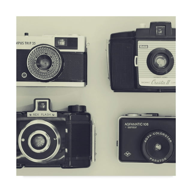 Trademark Fine Art '4 Vintage Cameras' Canvas Art by Tom Quartermaine
