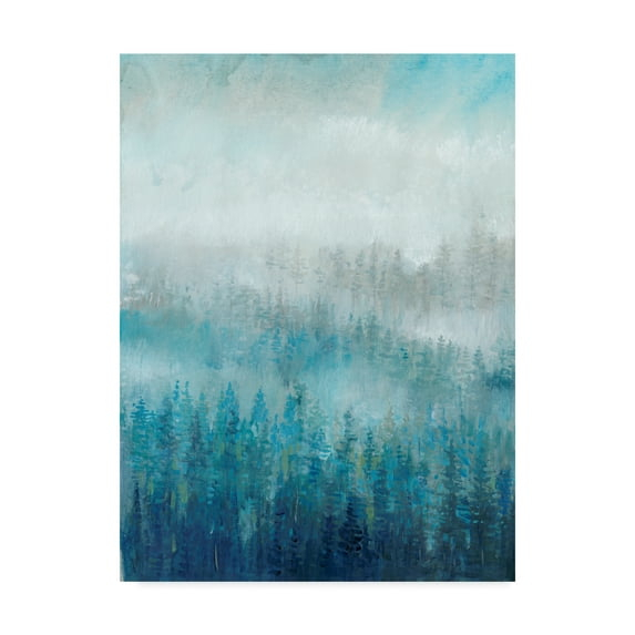 Trademark Fine Art 'Above the Mist I' Canvas Art by Tim OToole