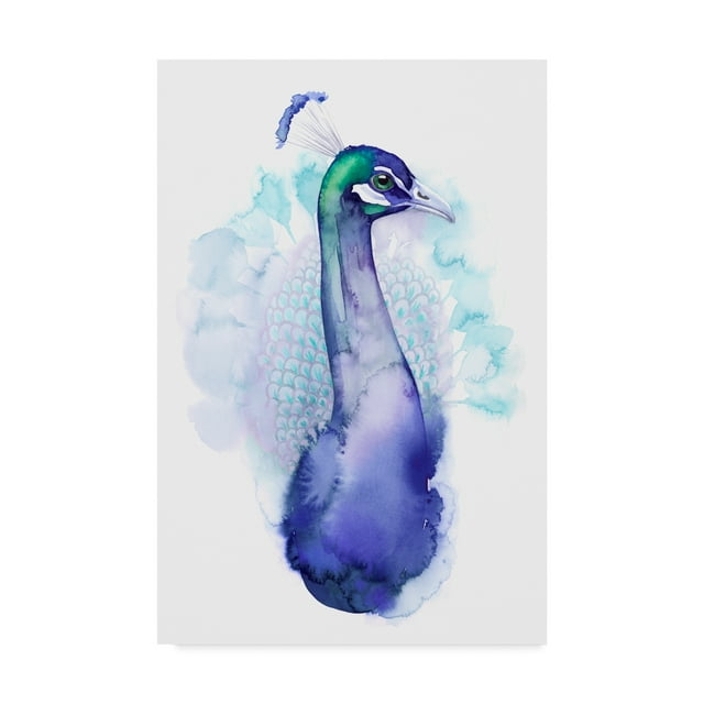 Trademark Fine Art 'Bejeweled Peacock I' Canvas Art by Grace Popp