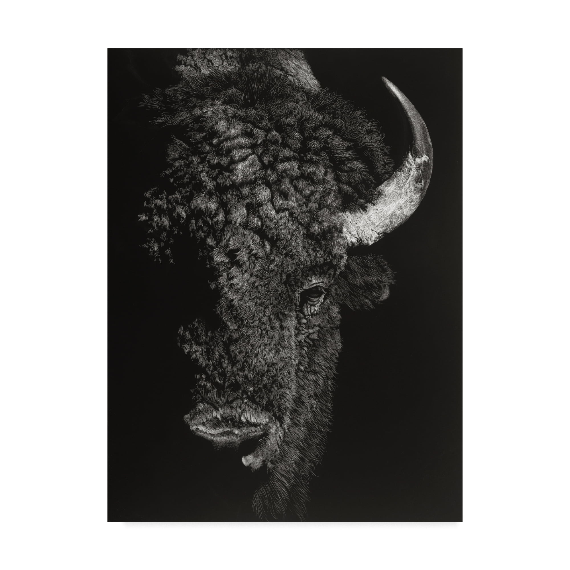Trademark Fine Art 'Black Glimpse I' Canvas Art by Julie T. Chapman