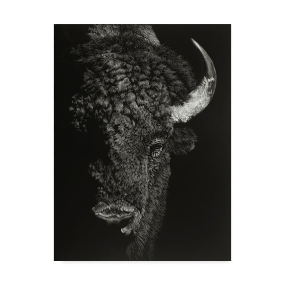 Trademark Fine Art 'Black Glimpse I' Canvas Art by Julie T. Chapman