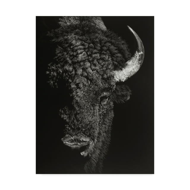Trademark Fine Art 'Black Glimpse I' Canvas Art by Julie T. Chapman