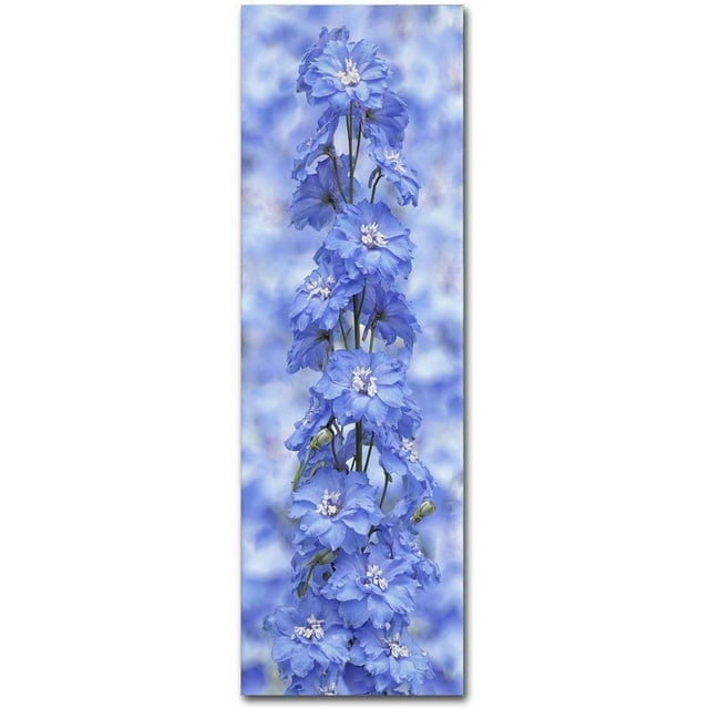 Trademark Fine Art 'Blue Larkspur' Canvas Art by Cora Niele