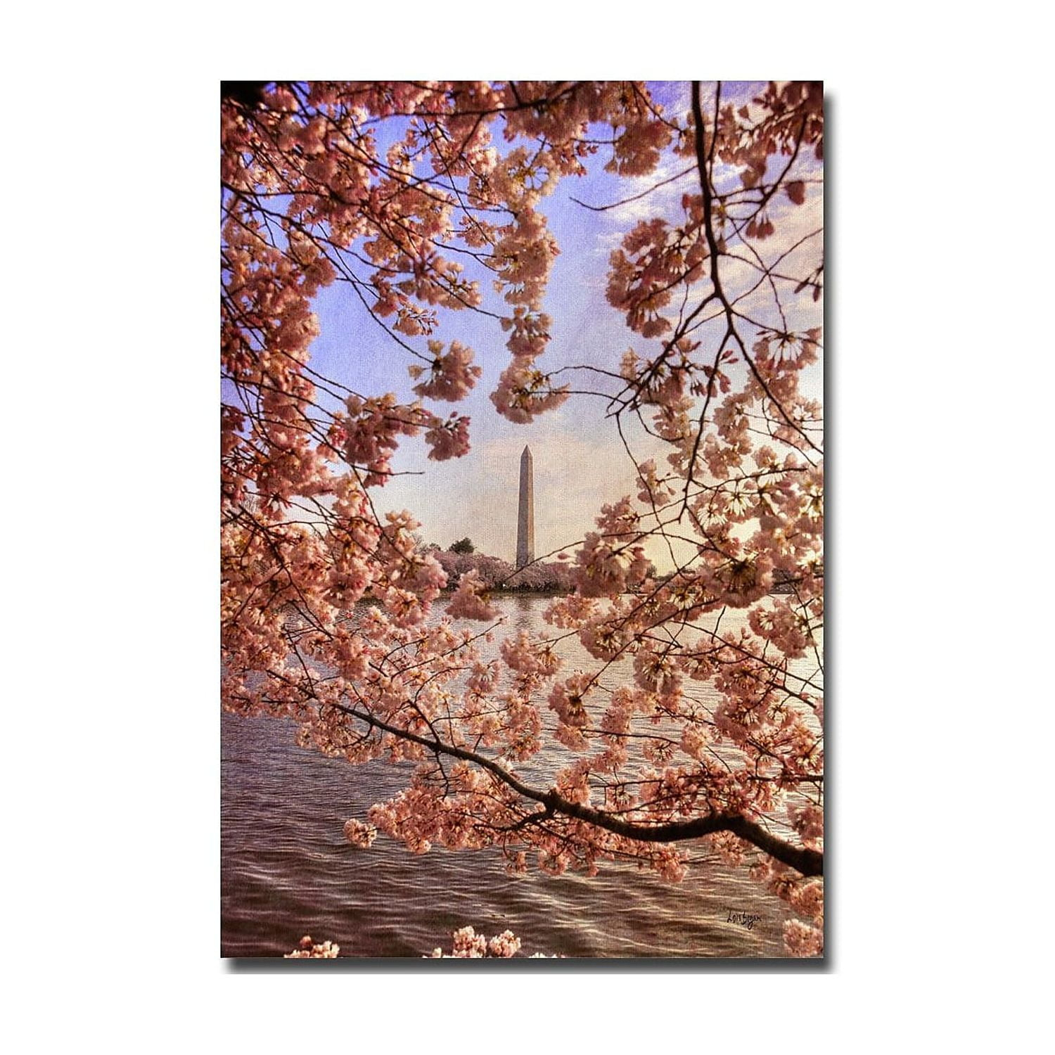 Trademark Fine Art "Cherry Blossoms at the Washington Monument" Canvas Art by Lois Bryan
