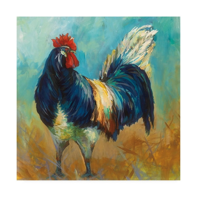 Trademark Fine Art 'Cocky' Canvas Art by Jeanette Vertentes