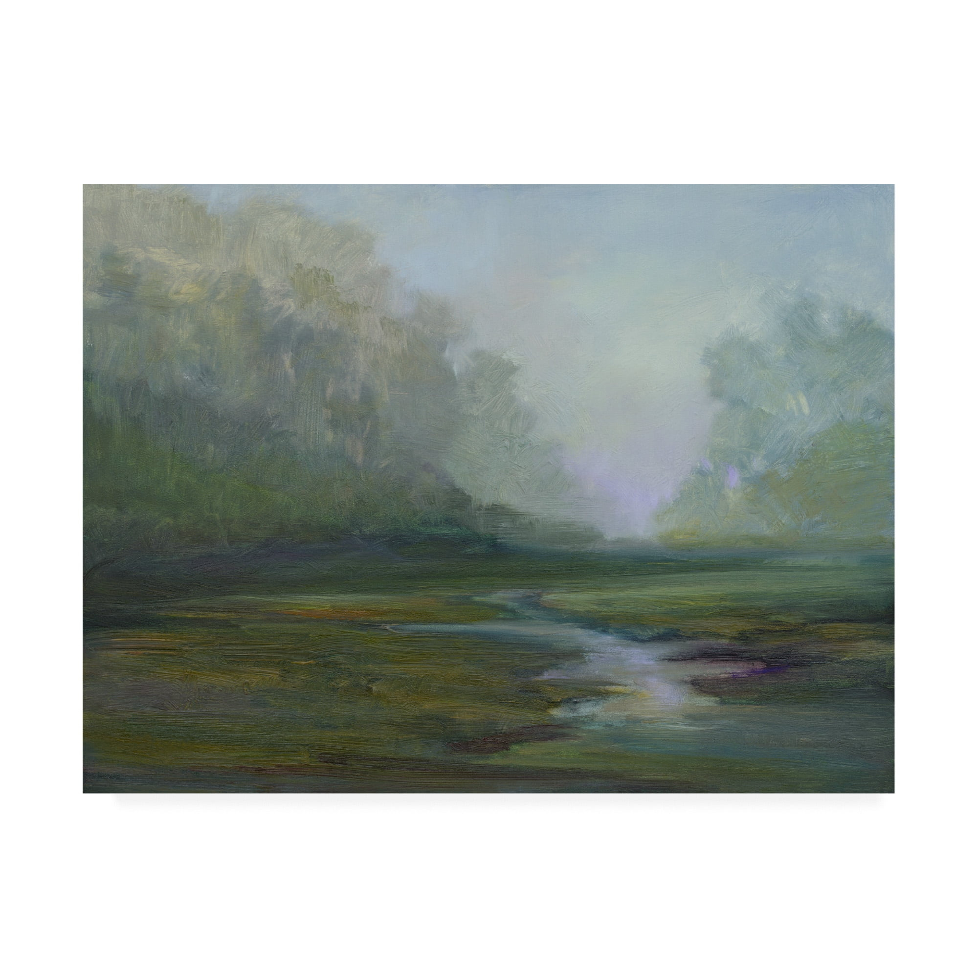 Trademark Fine Art 'Early Morning Fog' Canvas Art by Sheila Finch