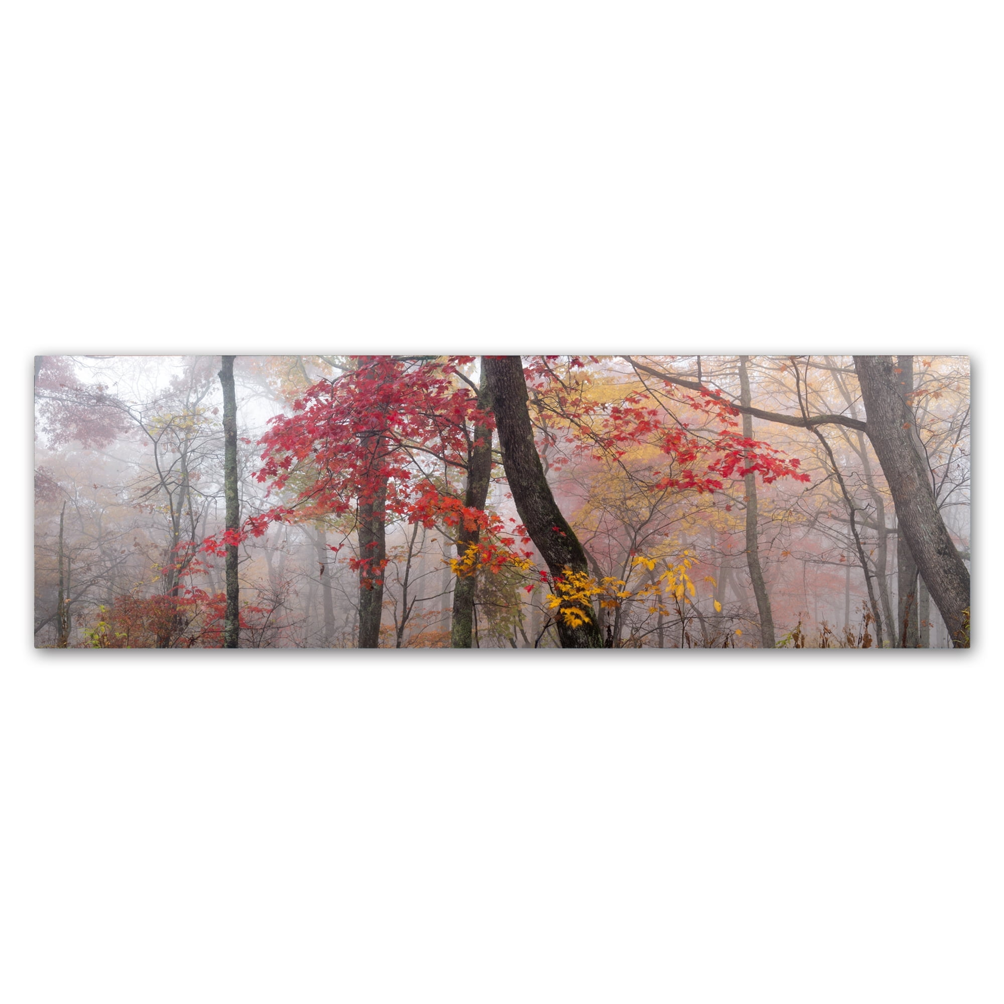 Trademark Fine Art 'Garnet And Gold' Canvas Art by Doug Cavanah