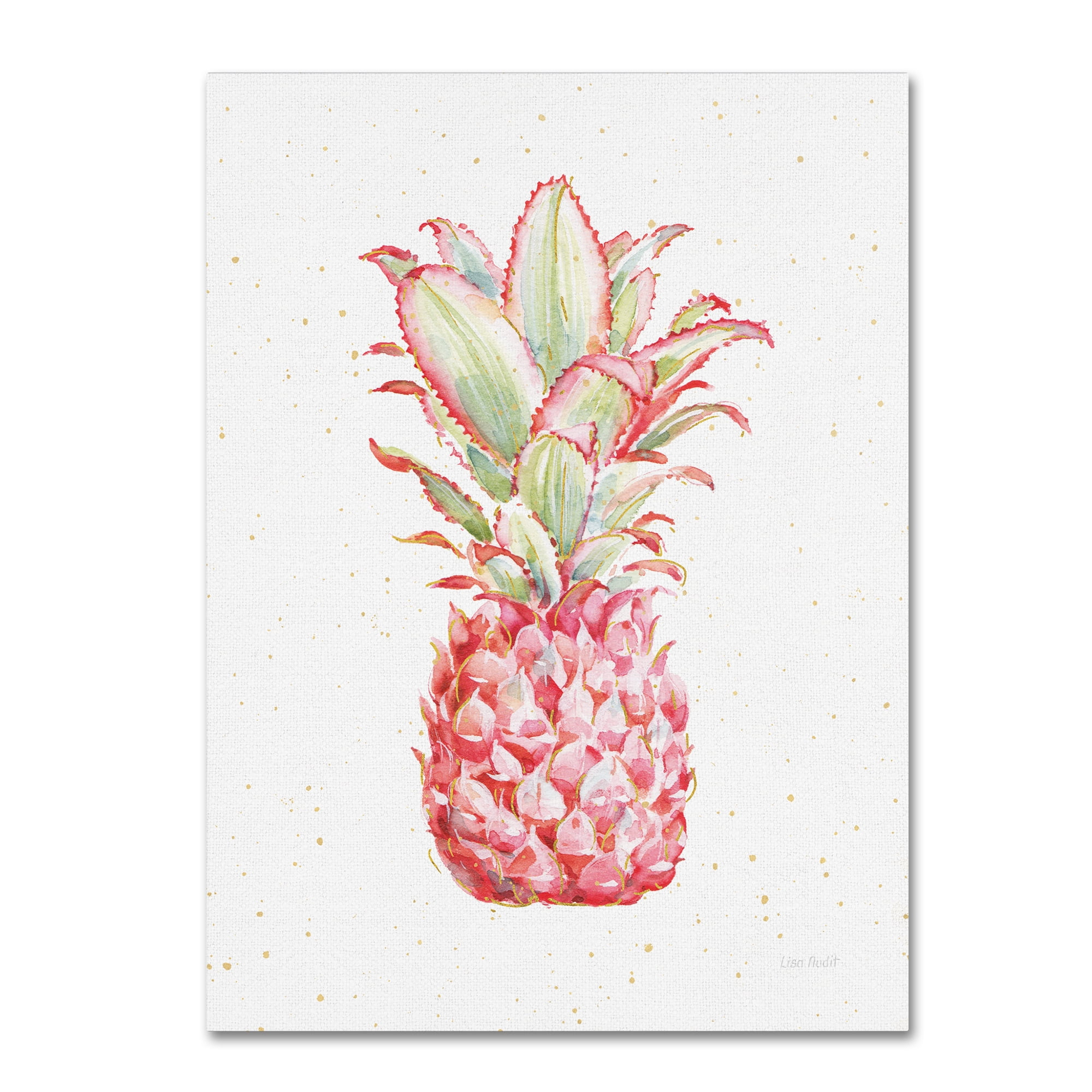 Trademark Fine Art 'Gracefully Pink XI' Canvas Art by Lisa Audit