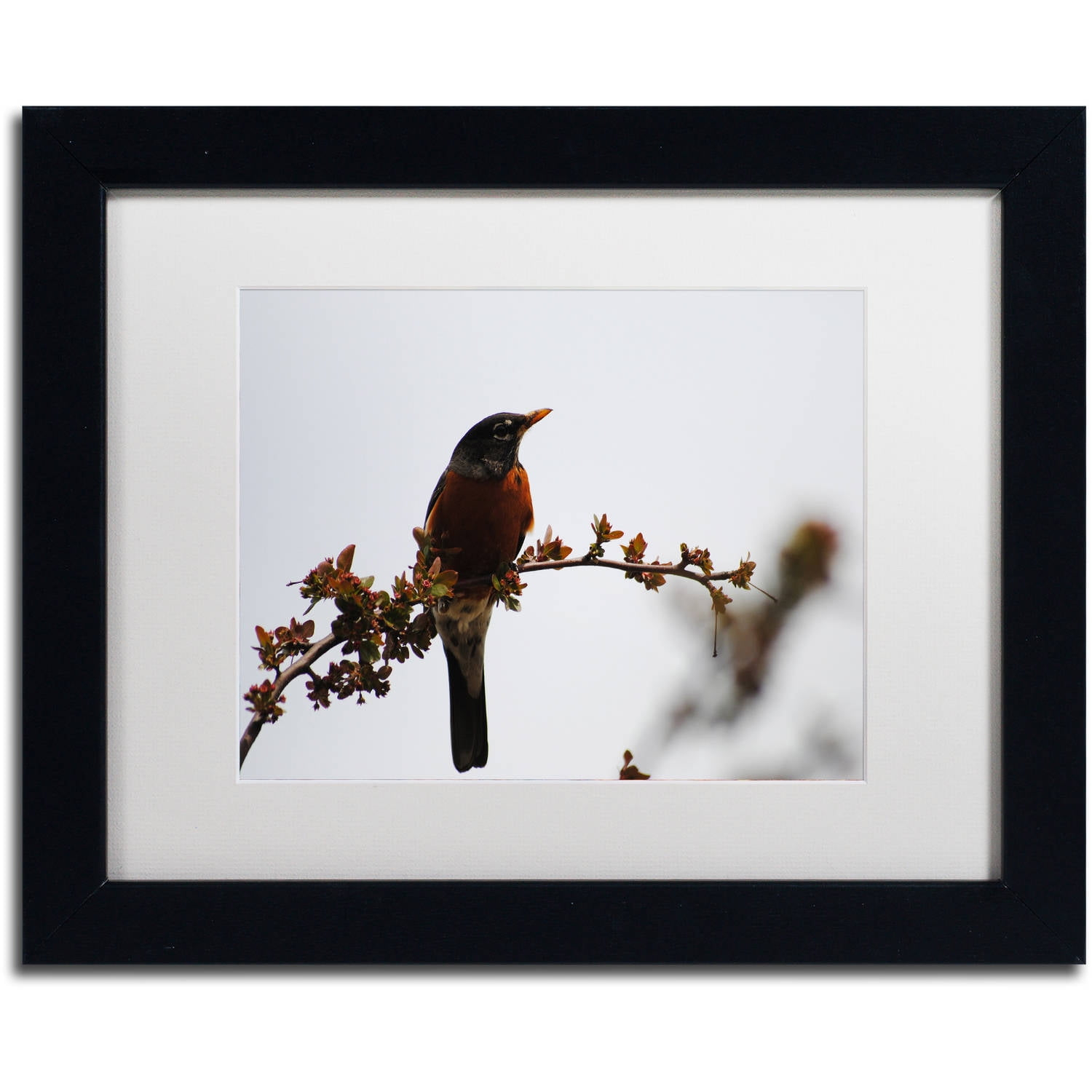 Trademark Fine Art "Guardian" Canvas Art by Monica Mize, White Matte, Black Frame