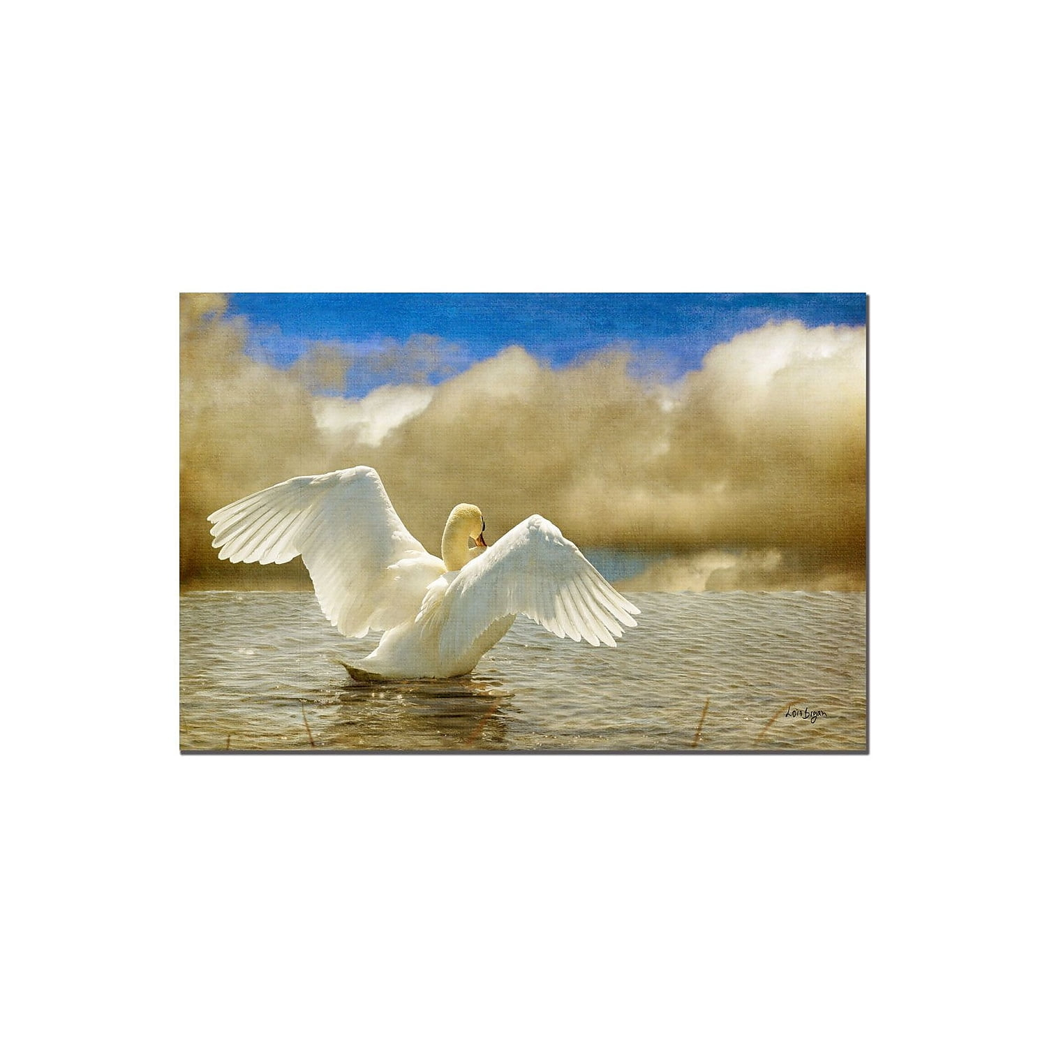 Trademark Fine Art Lois Bryan 'Lady-in-waiting' Art  Ready to Hang 22x32 Inches (LBR023-C2232GG)