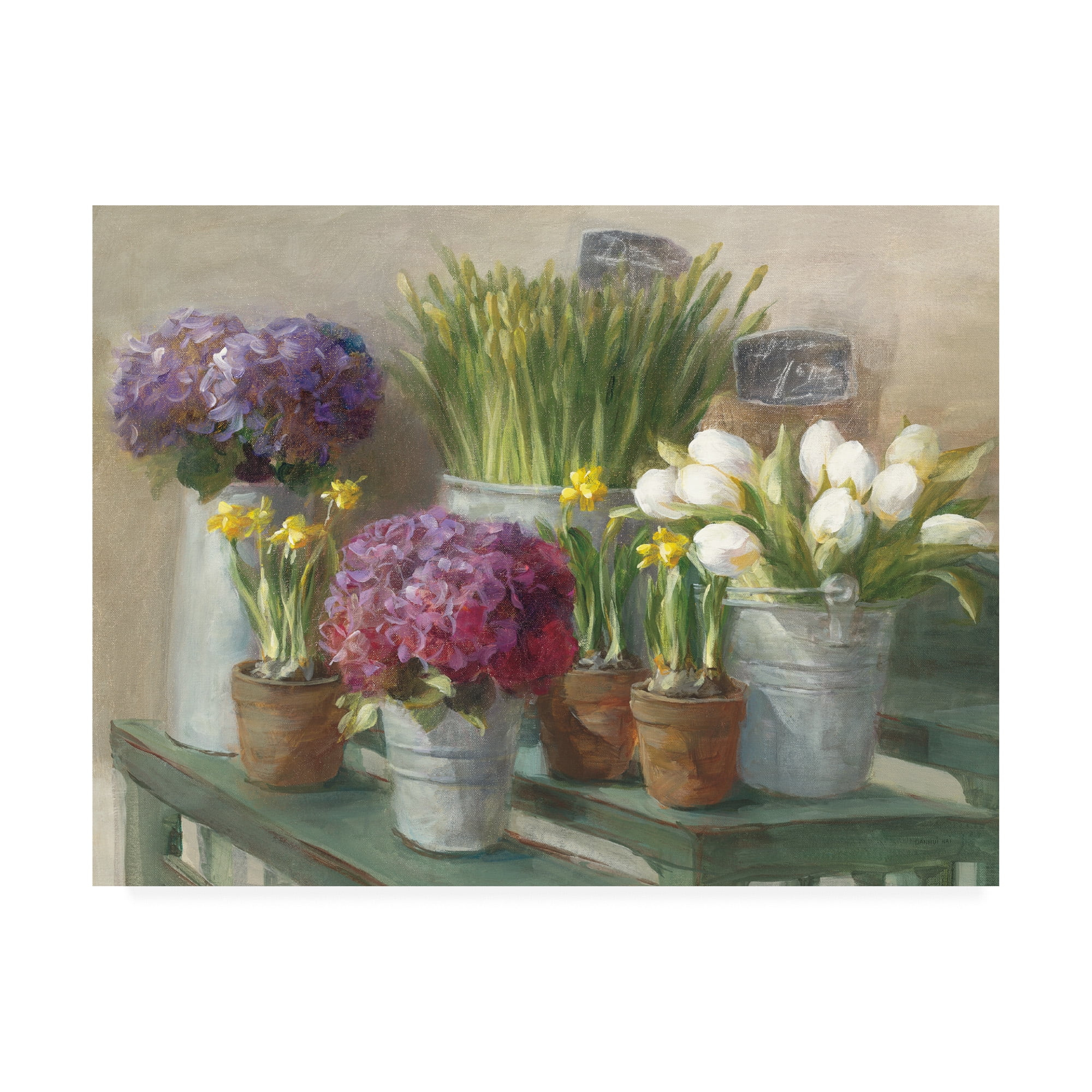 Trademark Fine Art 'Les Fleurs Printemps' Canvas Art by Danhui Nai