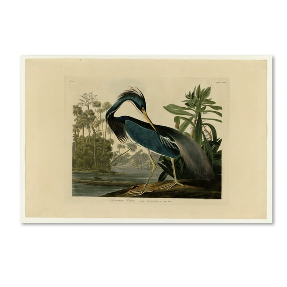 Trademark Fine Art 'Louisiana Heron' Canvas Art by John James Audobon