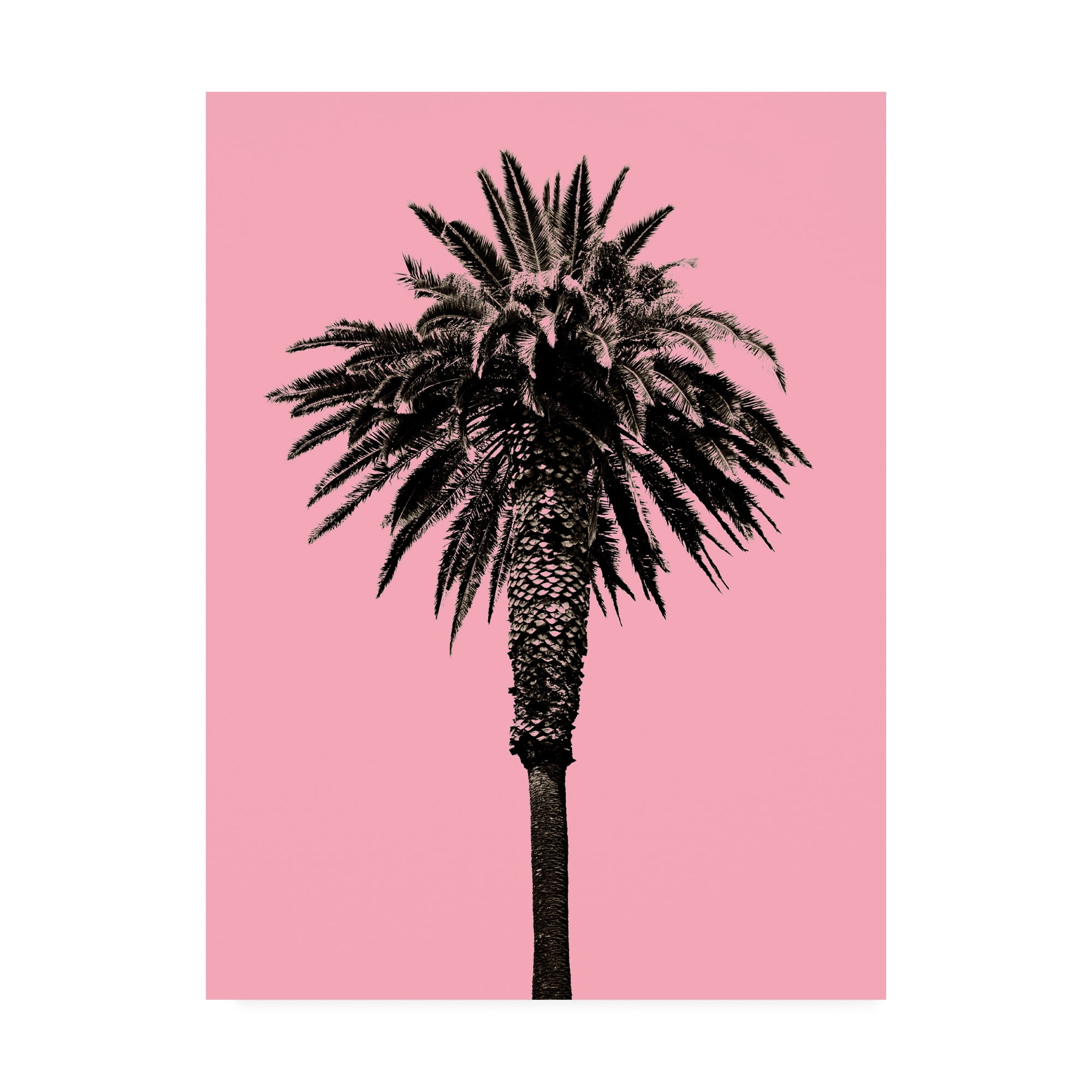 Trademark Fine Art 'Palm Tree 1996 (Pink)' Canvas Art by Erik Asl