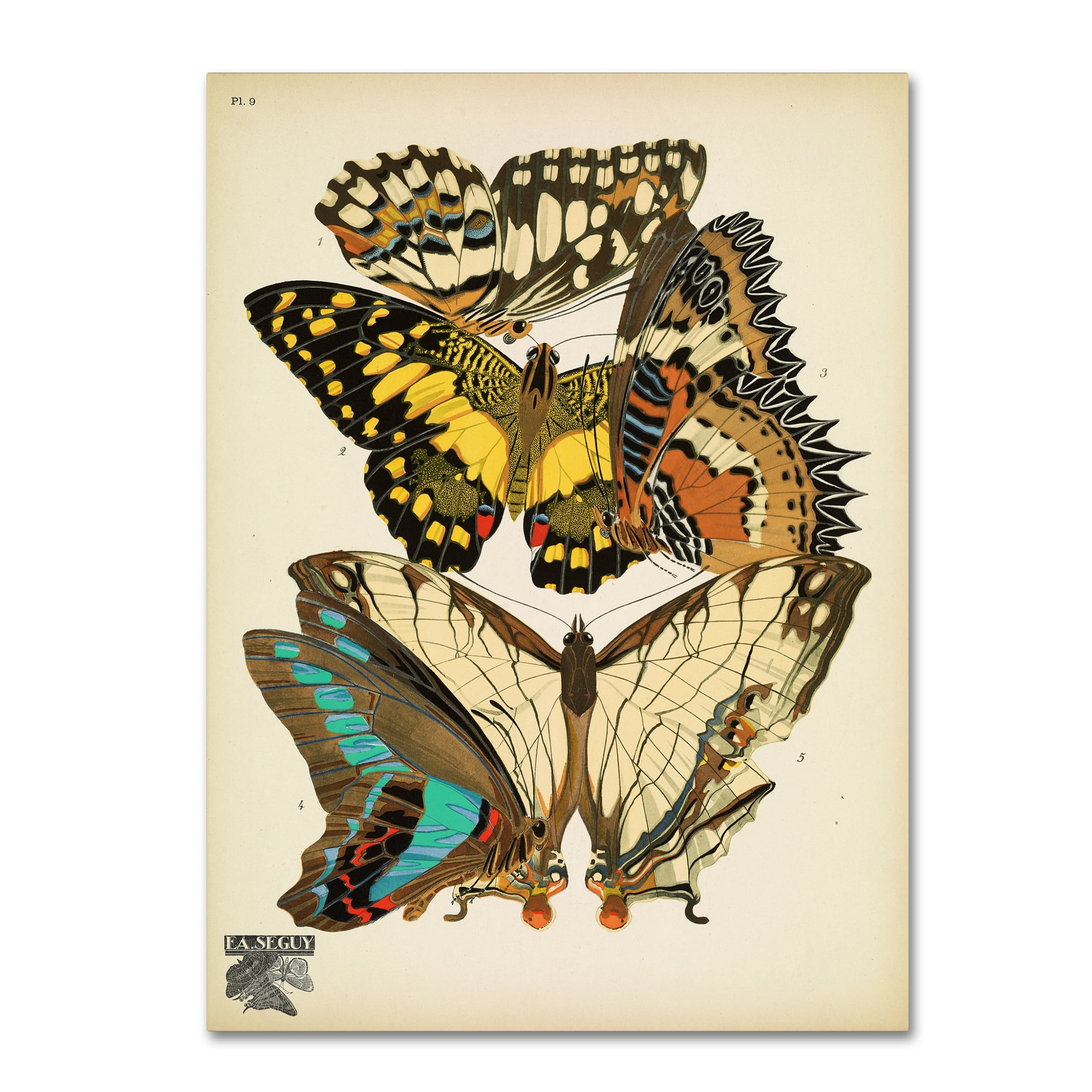 Trademark Fine Art 'Papillons 9' Canvas Art by Vintage Apple Collection