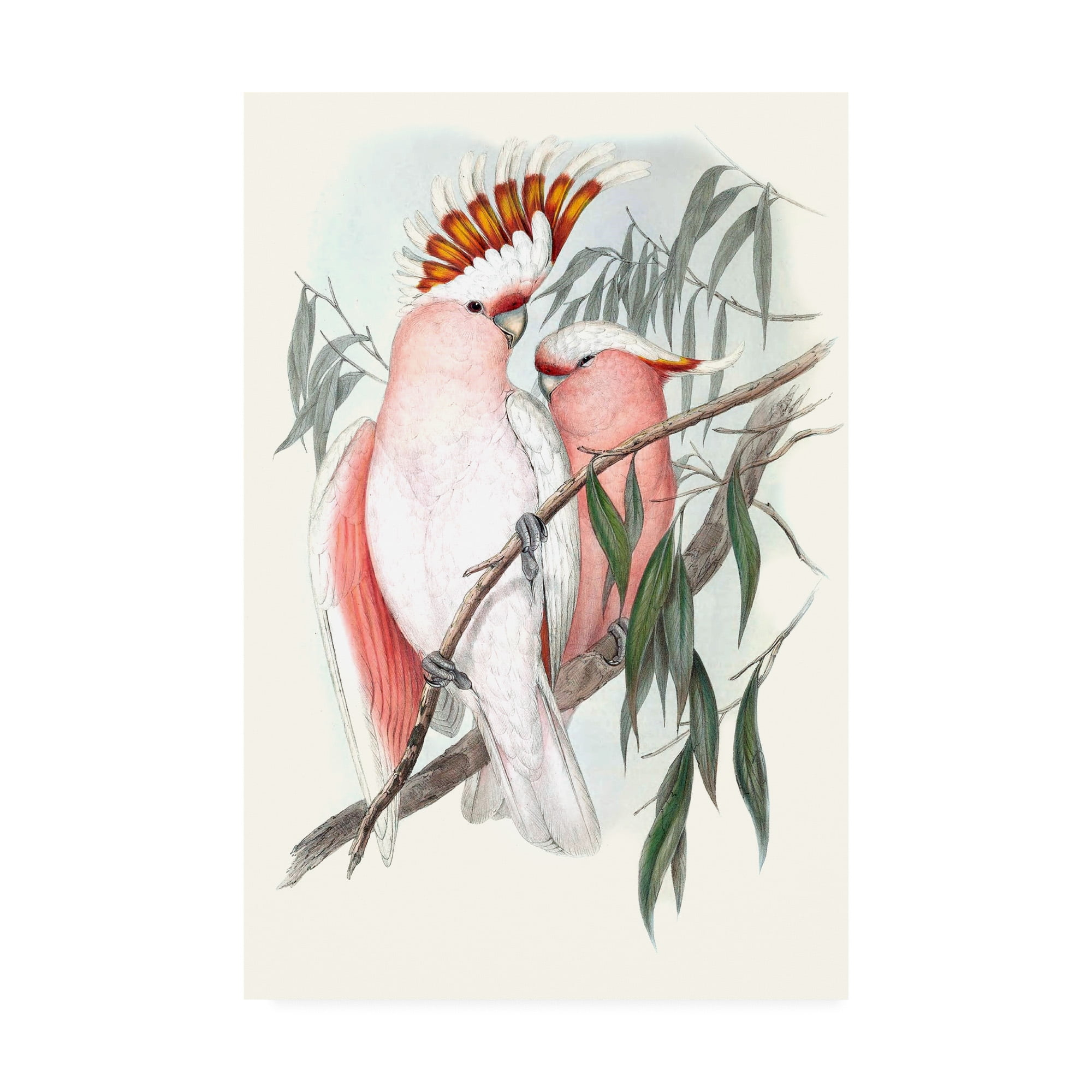 Trademark Fine Art 'Pastel Parrots I' Canvas Art by John Gould