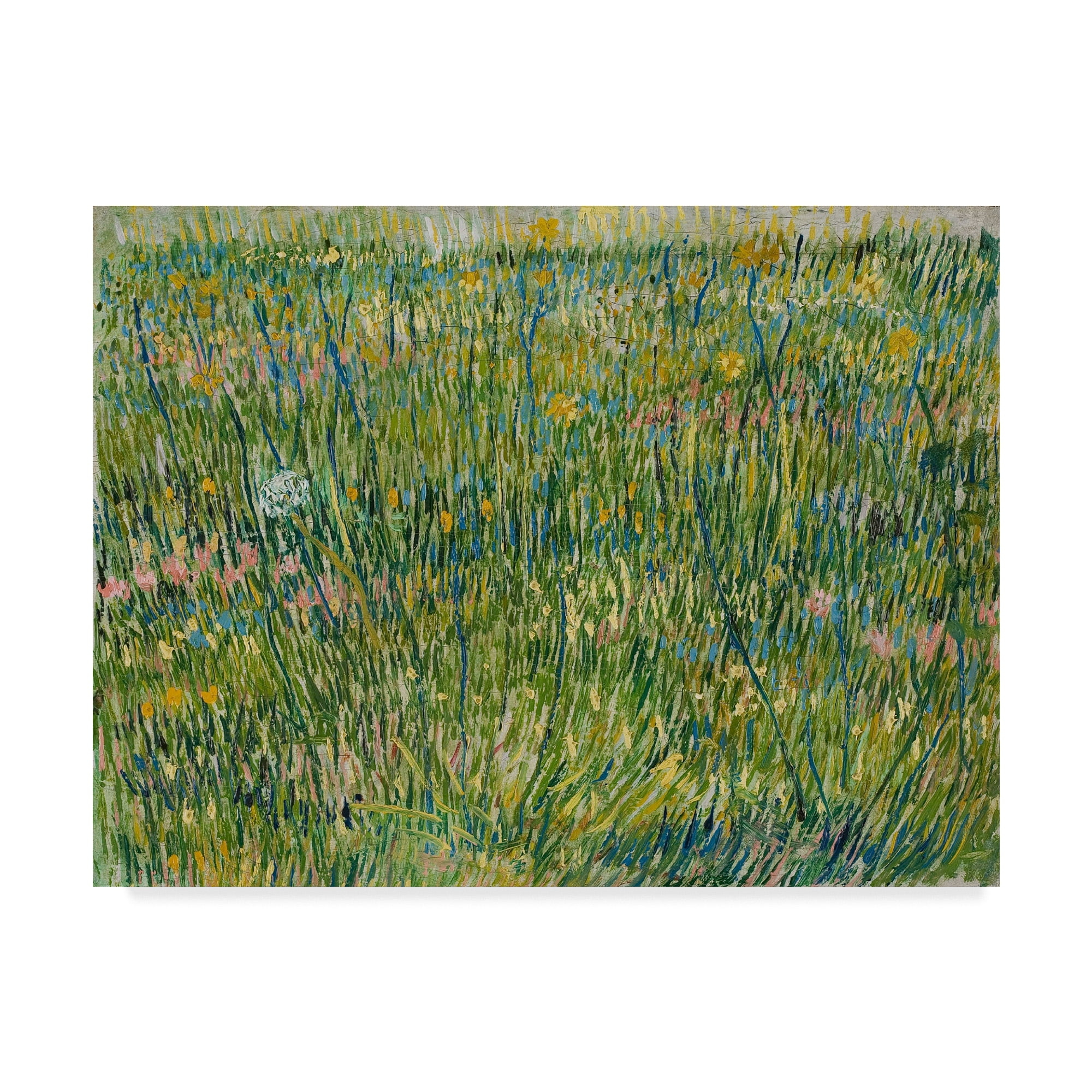 Trademark Fine Art 'Patch of Grass, April-June 1887' Canvas Art by Vincent van Gogh