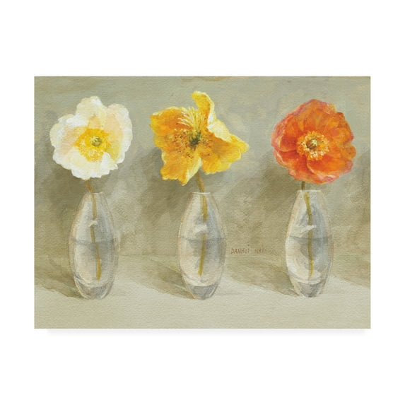 Trademark Fine Art 'Poppy Palette Crop' Canvas Art by Danhui Nai