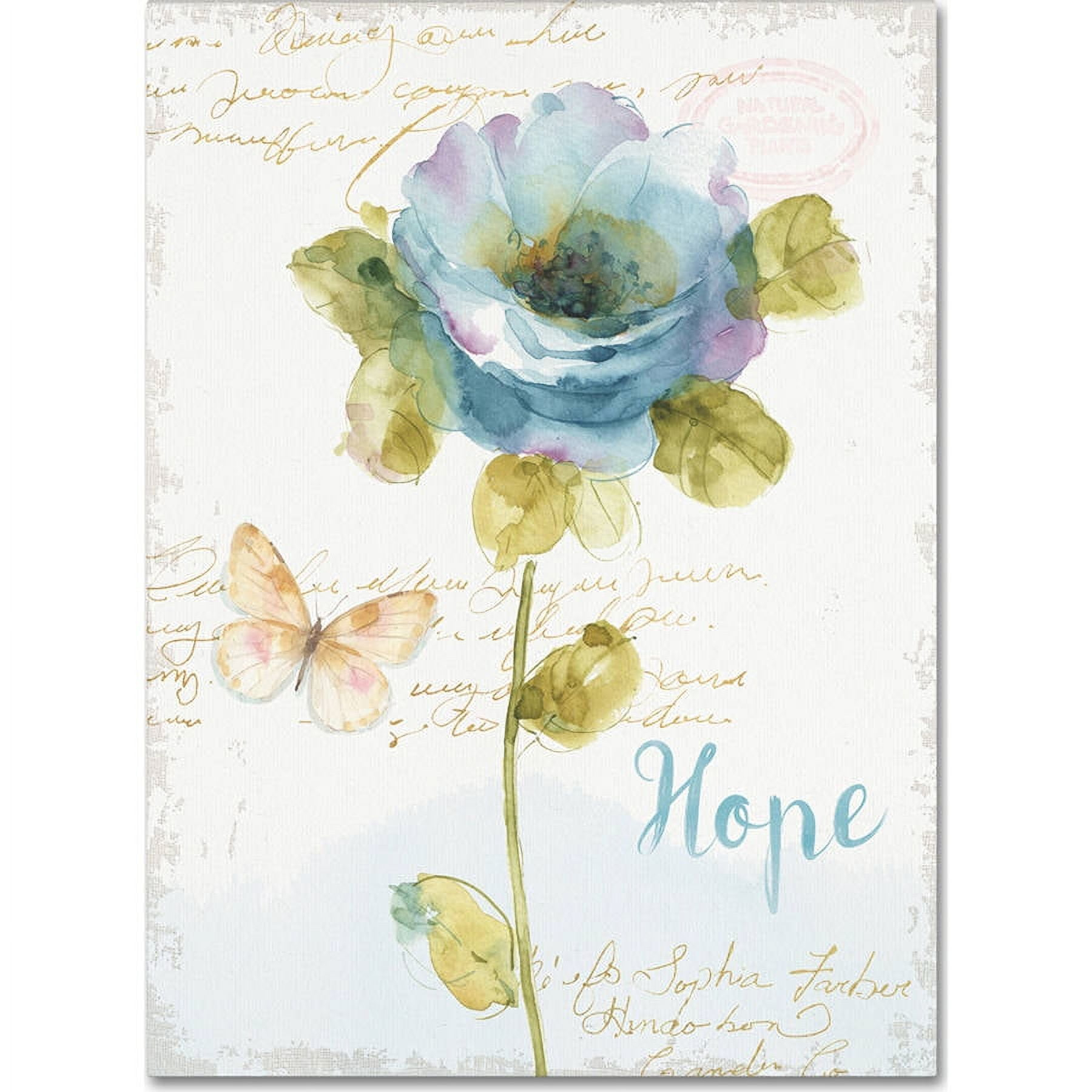 Trademark Fine Art "Rainbow Seeds Floral VII Hope" Canvas Art by Lisa Audit