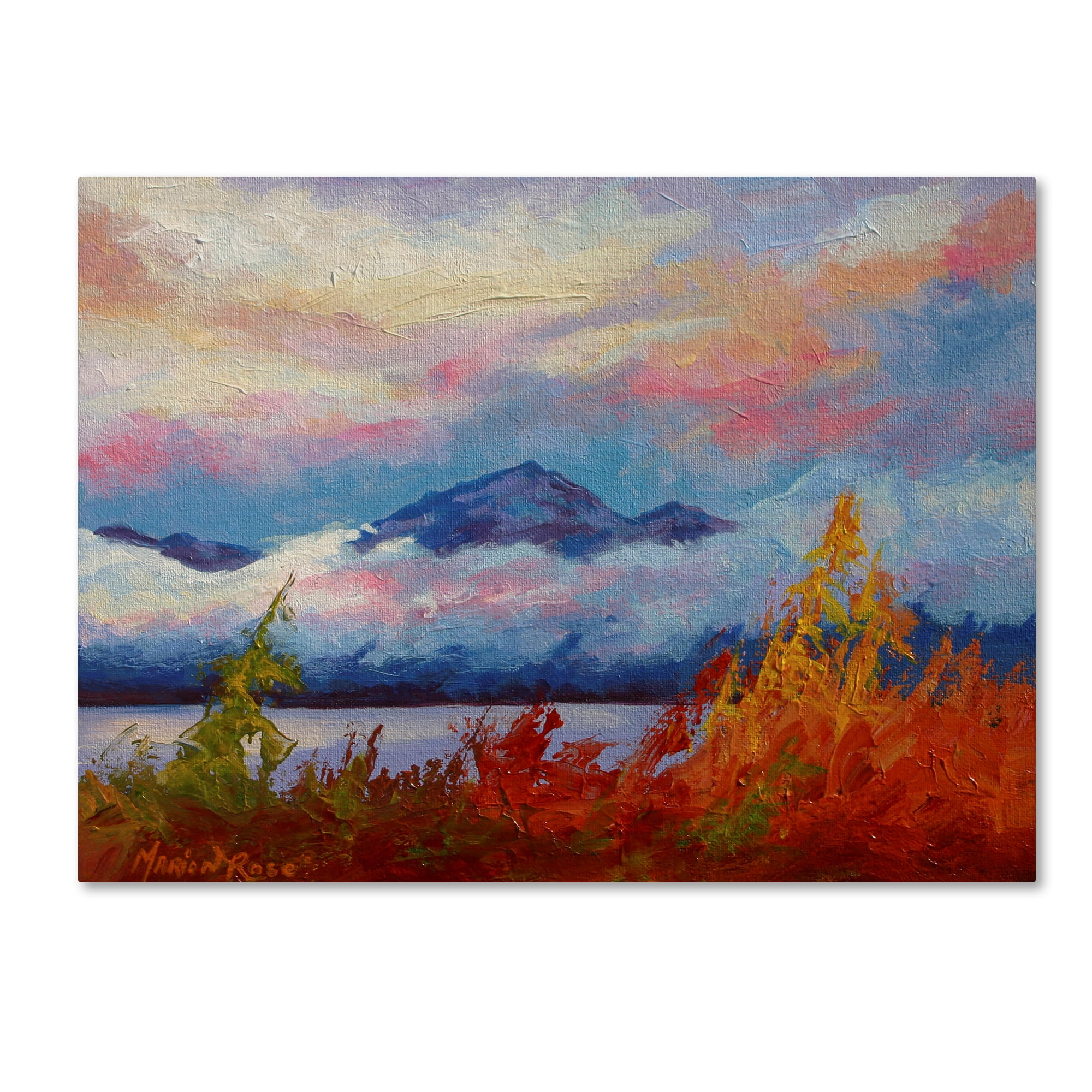 Trademark Fine Art 'Rythmn Of The Arctic' Canvas Art by Marion Rose