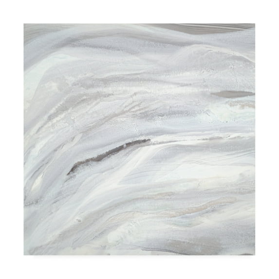Trademark Fine Art 'Silver Fragments I' Canvas Art by Teodora Guererra