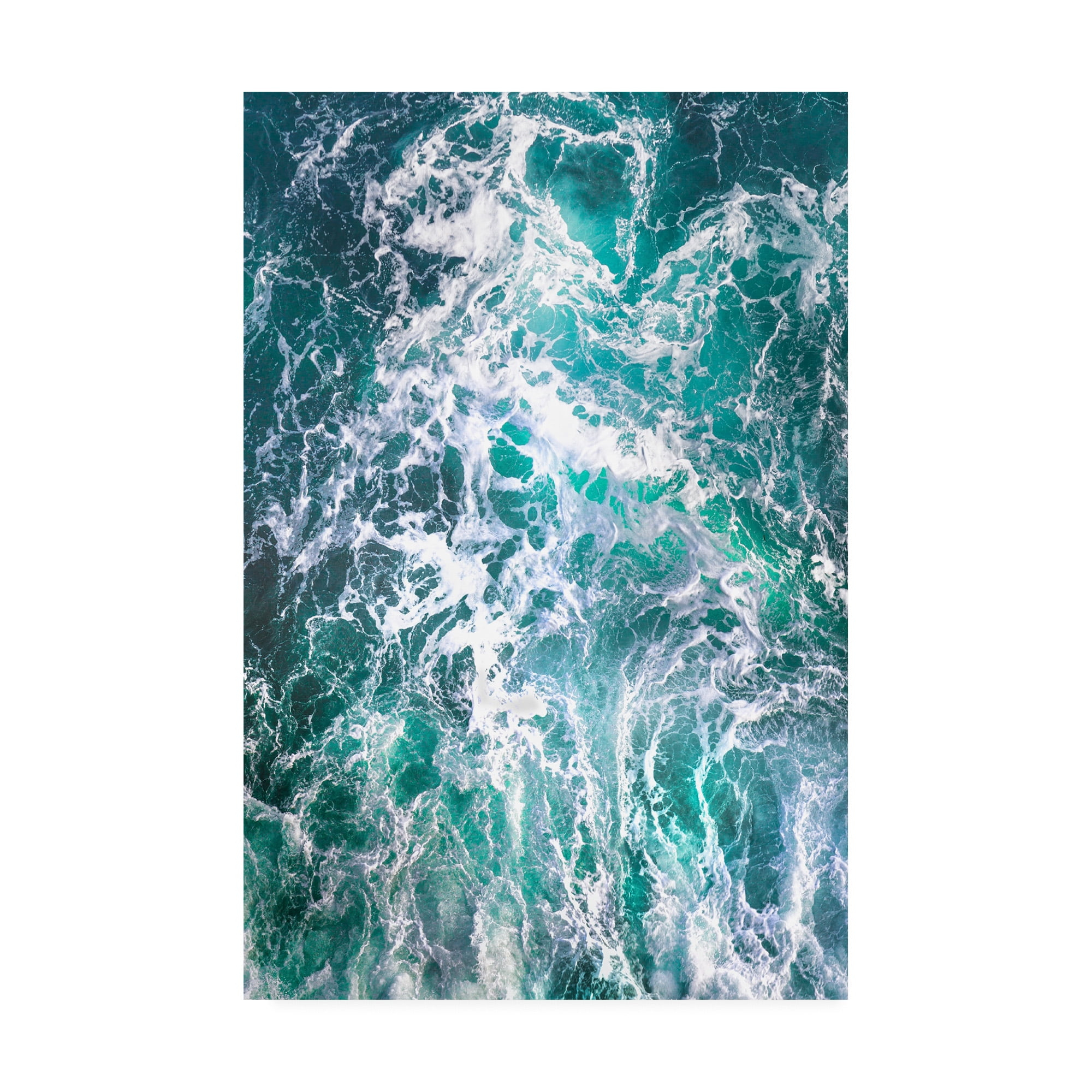 Trademark Fine Art 'Teal Embrace' Canvas Art by Lynne Dougla