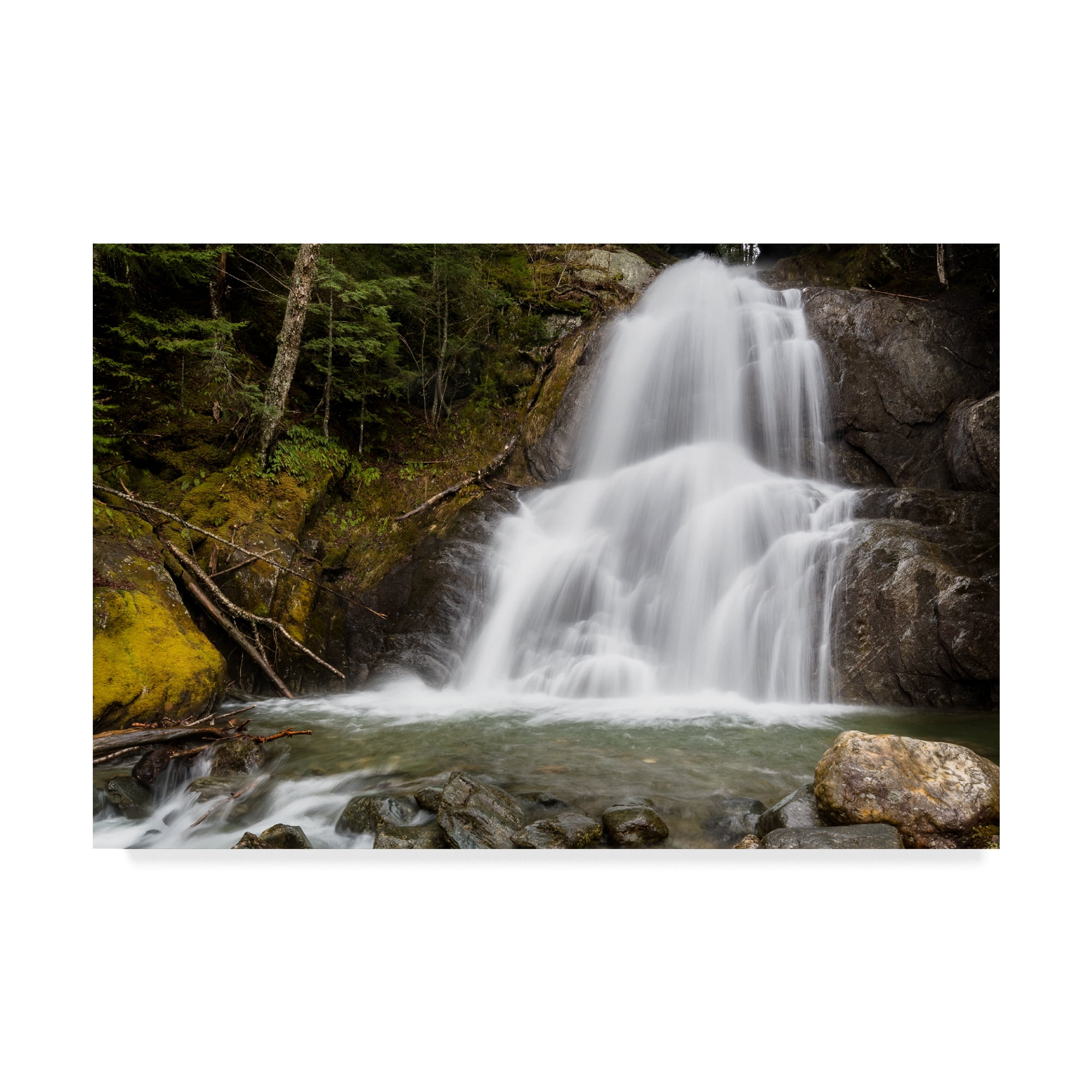Trademark Fine Art 'The Sound Of Falling Water' Canvas Art by Brenda Petrella Photography Llc