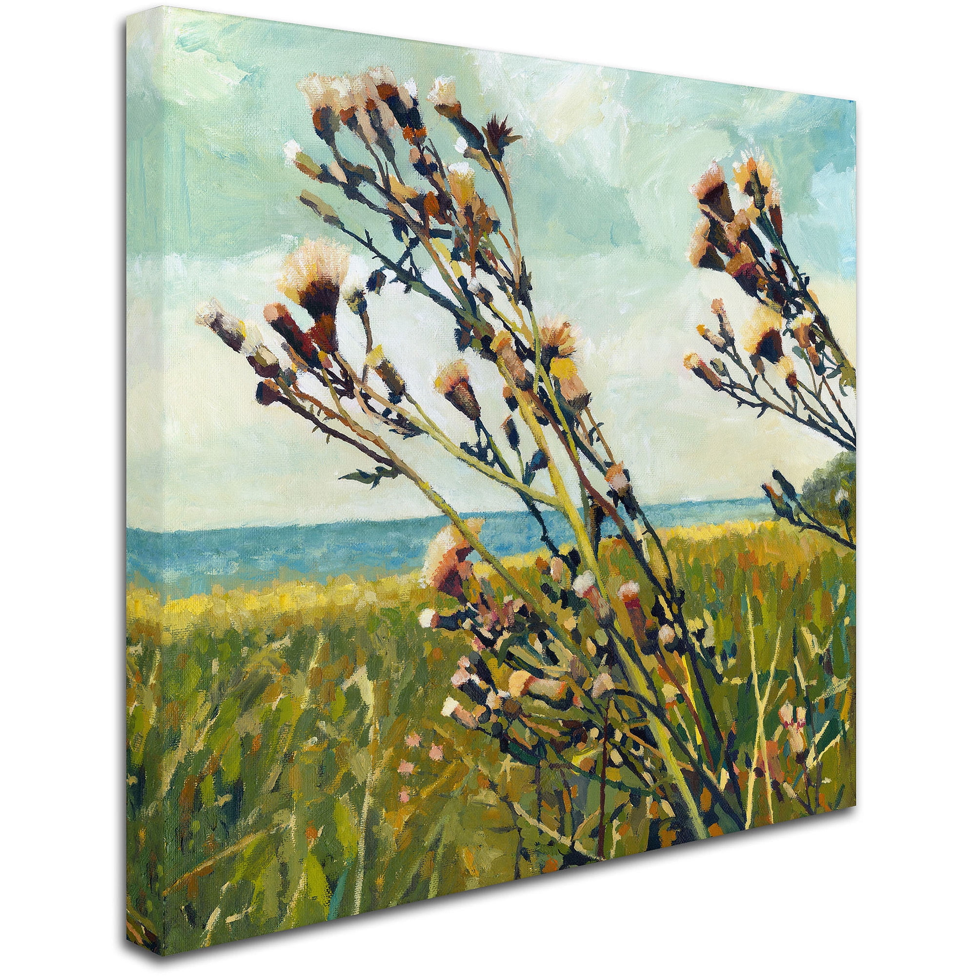 Trademark Fine Art "Thistles on the Beach" Canvas Art by Michelle Calkins