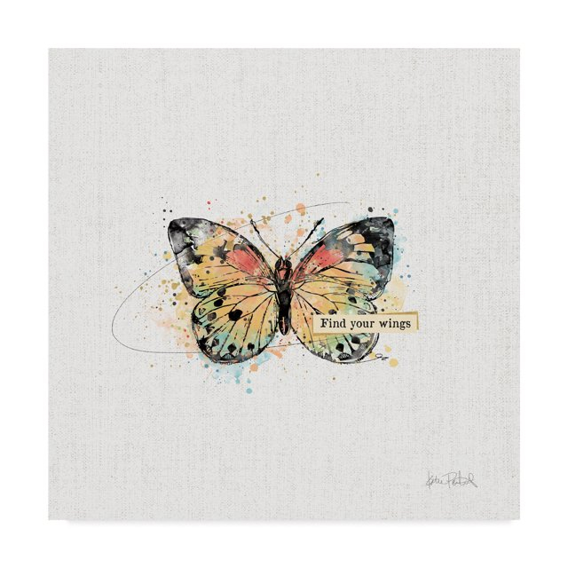 Trademark Fine Art 'Thoughtful Butterflies II' Canvas Art by Katie Pertiet