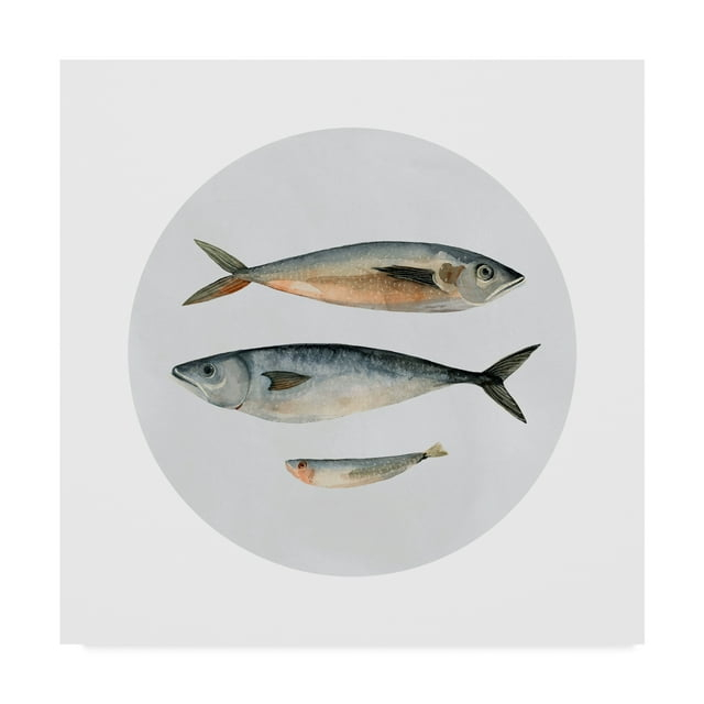 Trademark Fine Art 'Three Fish I' Canvas Art by Emma Scarvey