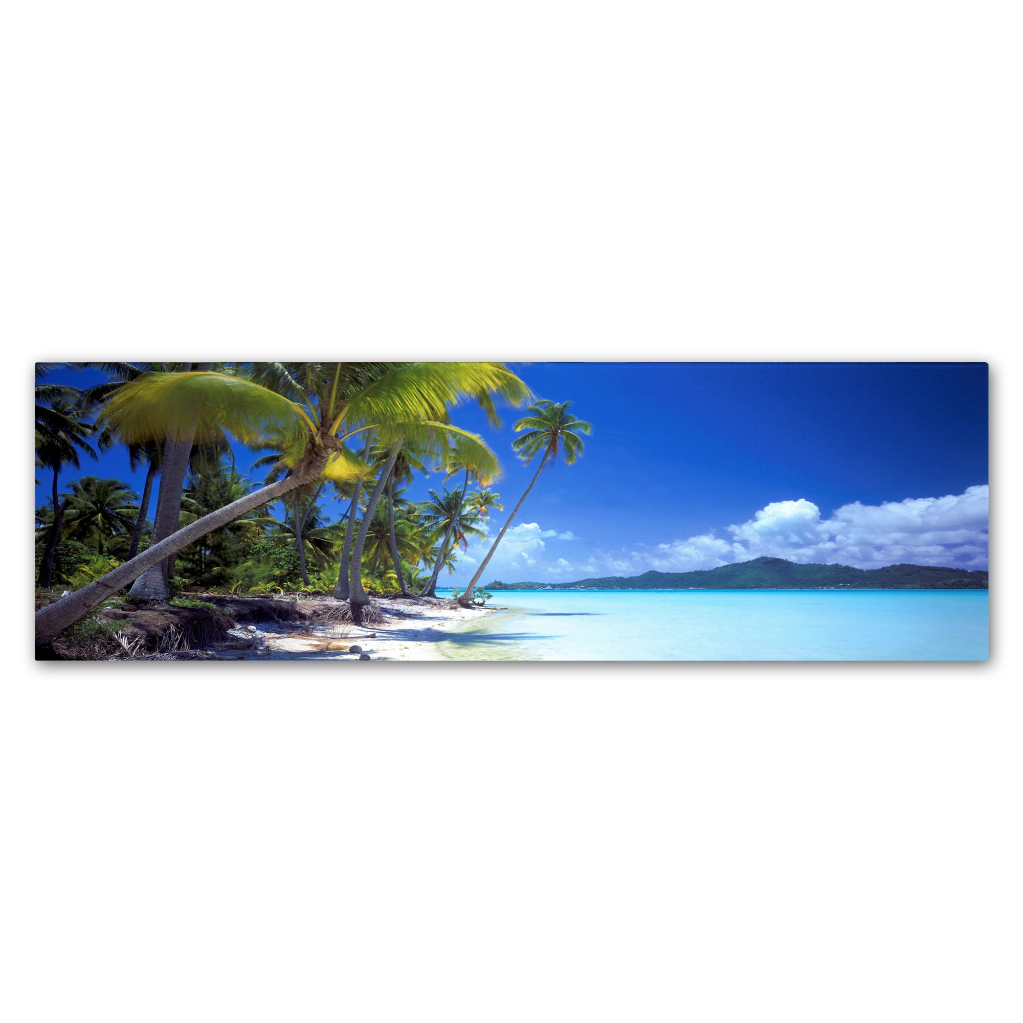 Trademark Fine Art 'Tropical Paradise' Canvas Art by Doug Cavanah