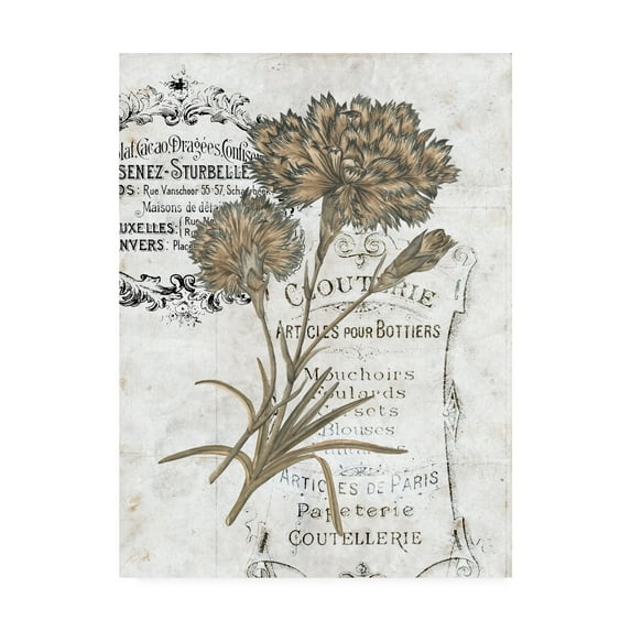 Trademark Fine Art 'UA CH Petite Beaute III' Canvas Art by Melissa Wang