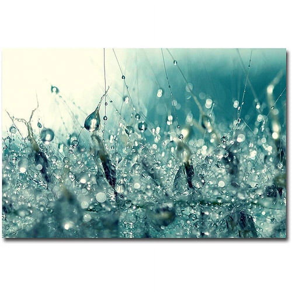 Trademark Fine Art "Under the Sea" Canvas Art by Beata Czyzowska Young