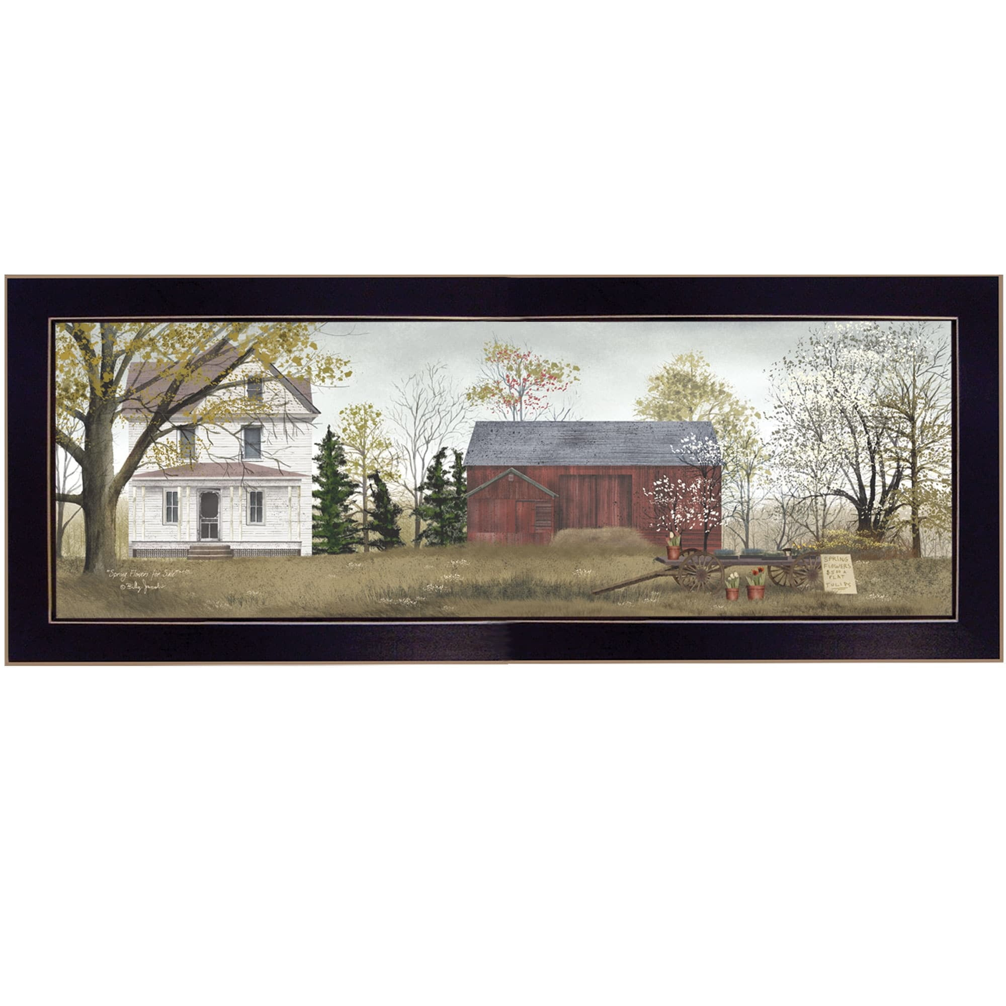 Trendy Decor 4U TrendyDecor4U Farmhouse "Spring Flowers" Framed Print Wall Art by Billy Jacobs