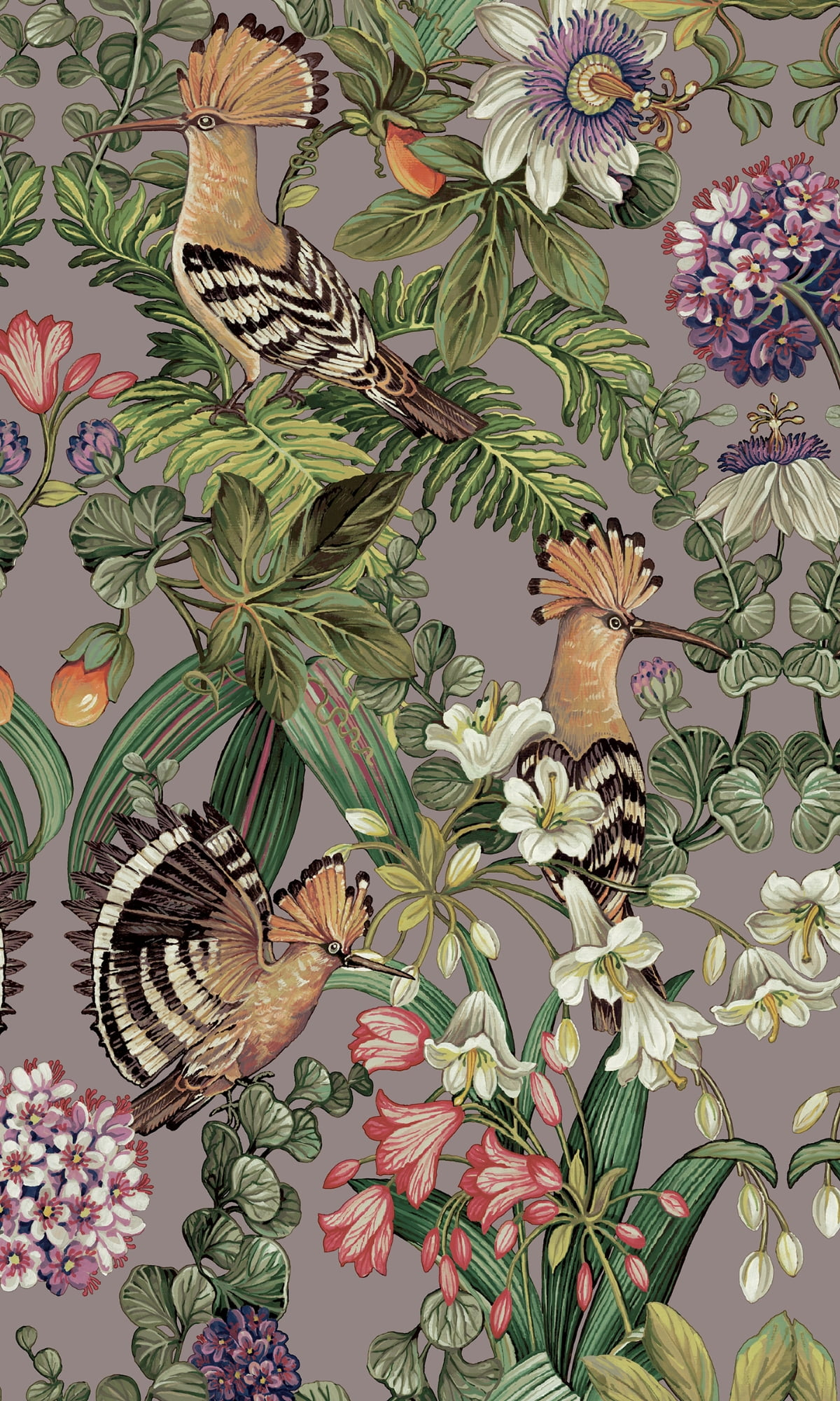 Tropical Birds Bold Tropical Wallpaper R8286