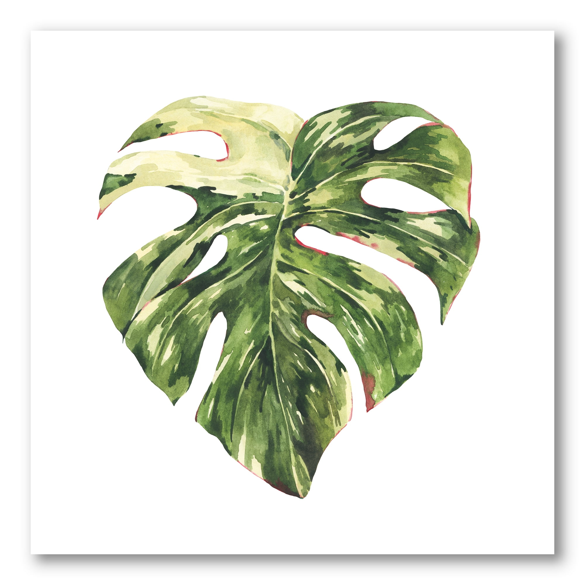 Tropical Green Leaves On White In Summer Times III 16 in x 16 in Painting Canvas Art Print, by Designart
