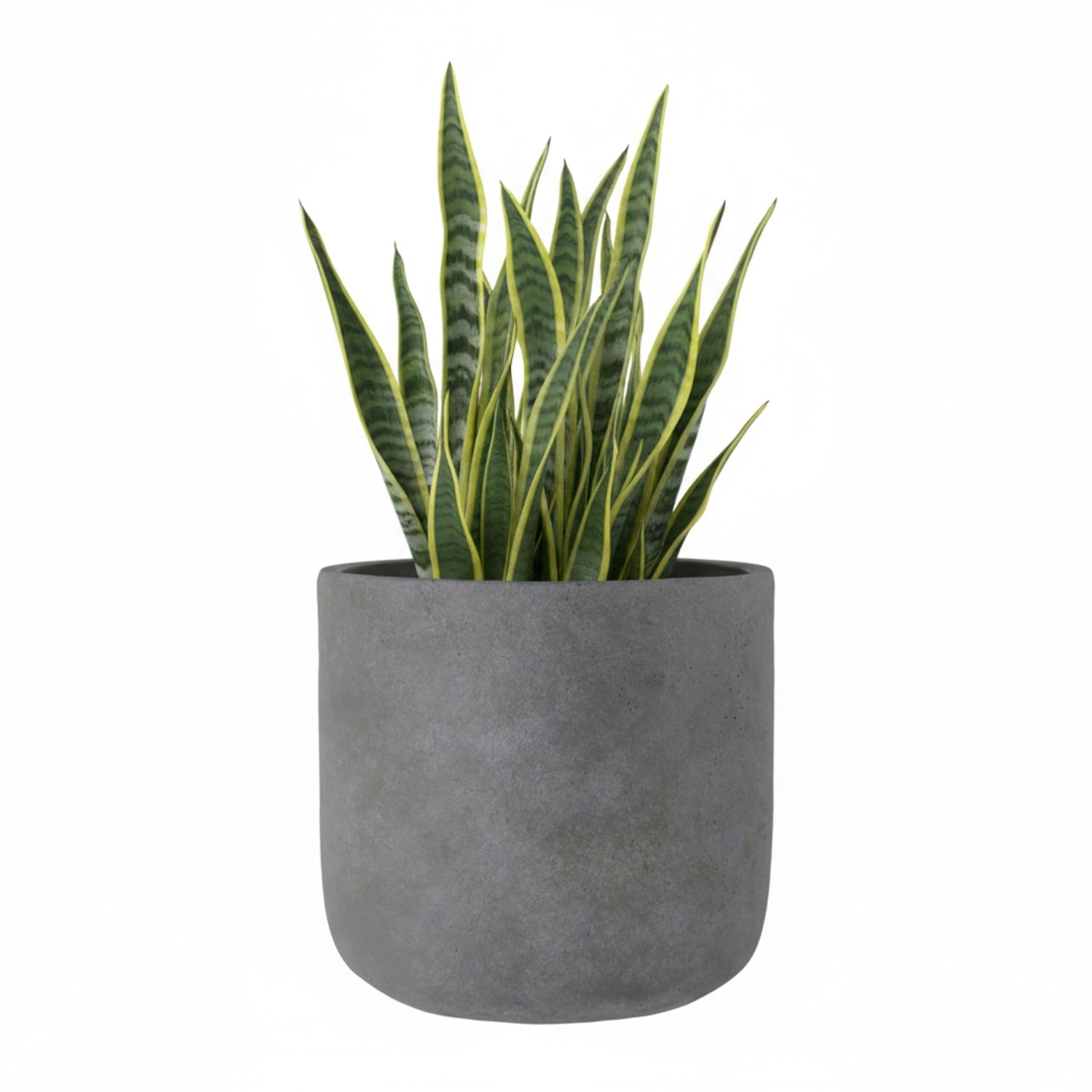 Neyra Terracotta Round Pot