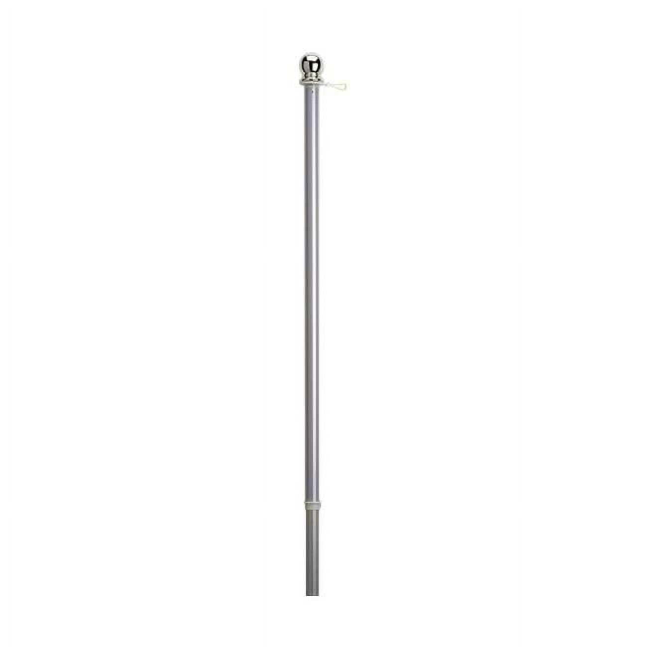 Valley Forge Flag 7098189 60 in. x 5 ft. Brushed Aluminum Flag Pole with Sleeve