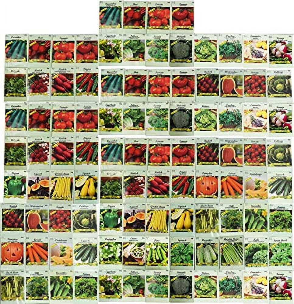 Valley Greene Assorted Heirloom Vegetable Plant Seeds (100 Pack), Non-GMO
