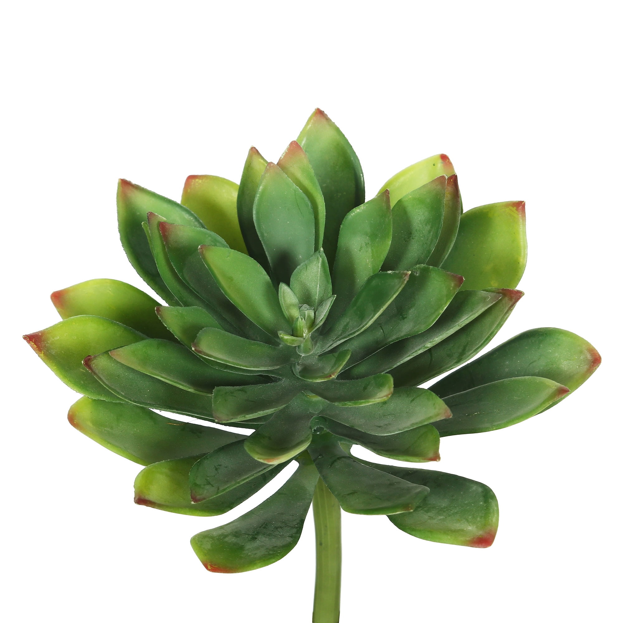 Vickerman 10" Artificial Green Succulent Stem, Set of 3