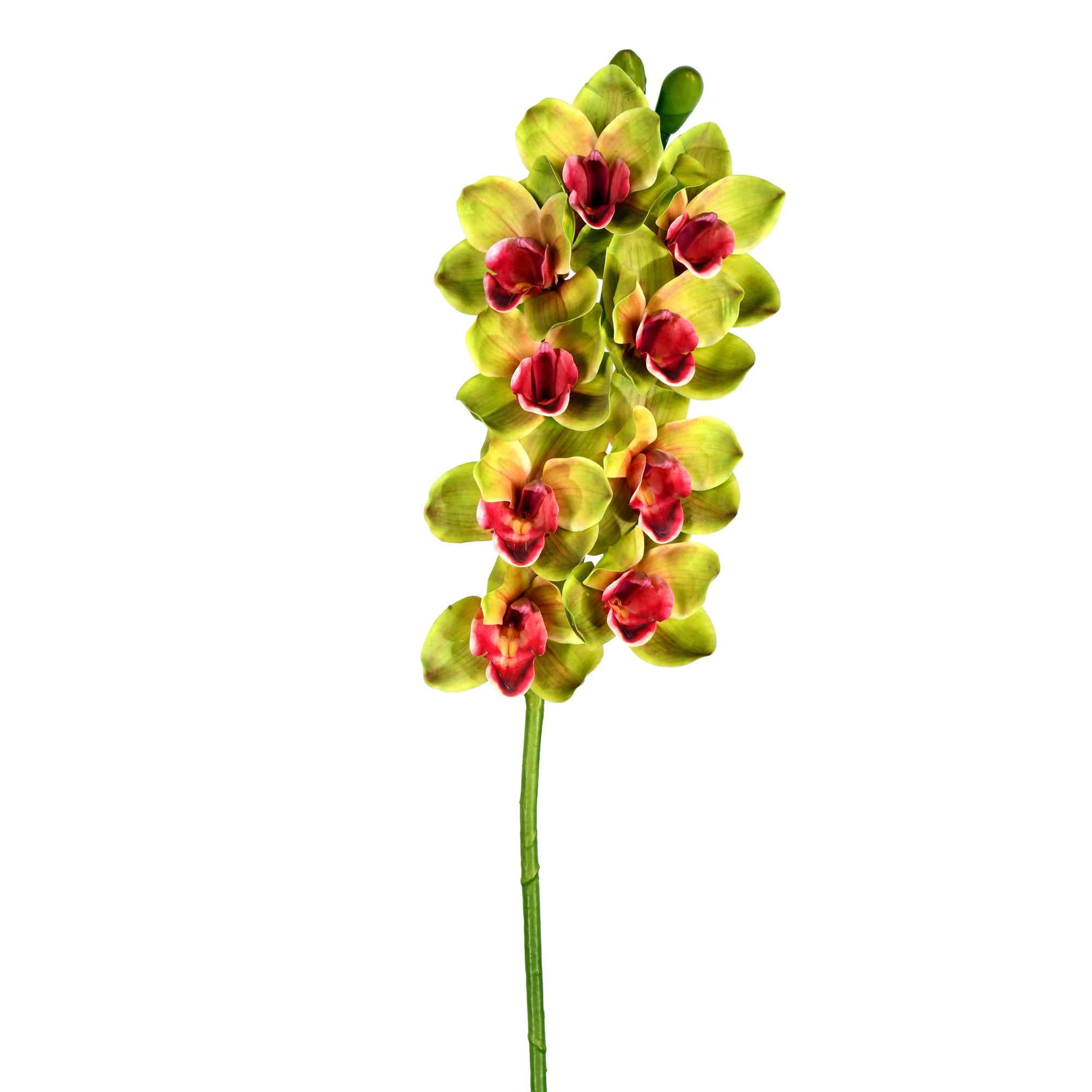 Vickerman 33" Artificial Green Cymbidium Stem